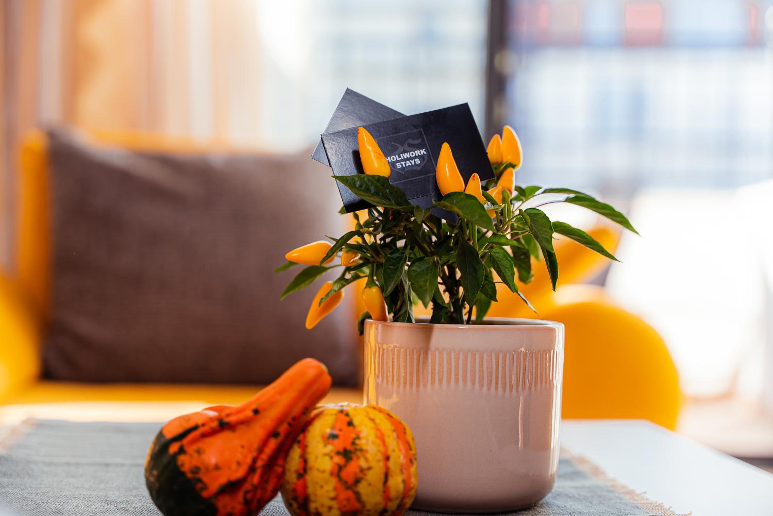 Pumpkin Spiced Suite with Own Parking and Office Setup