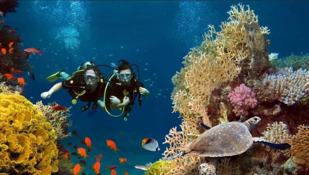 Elysian Hideaway photo 5