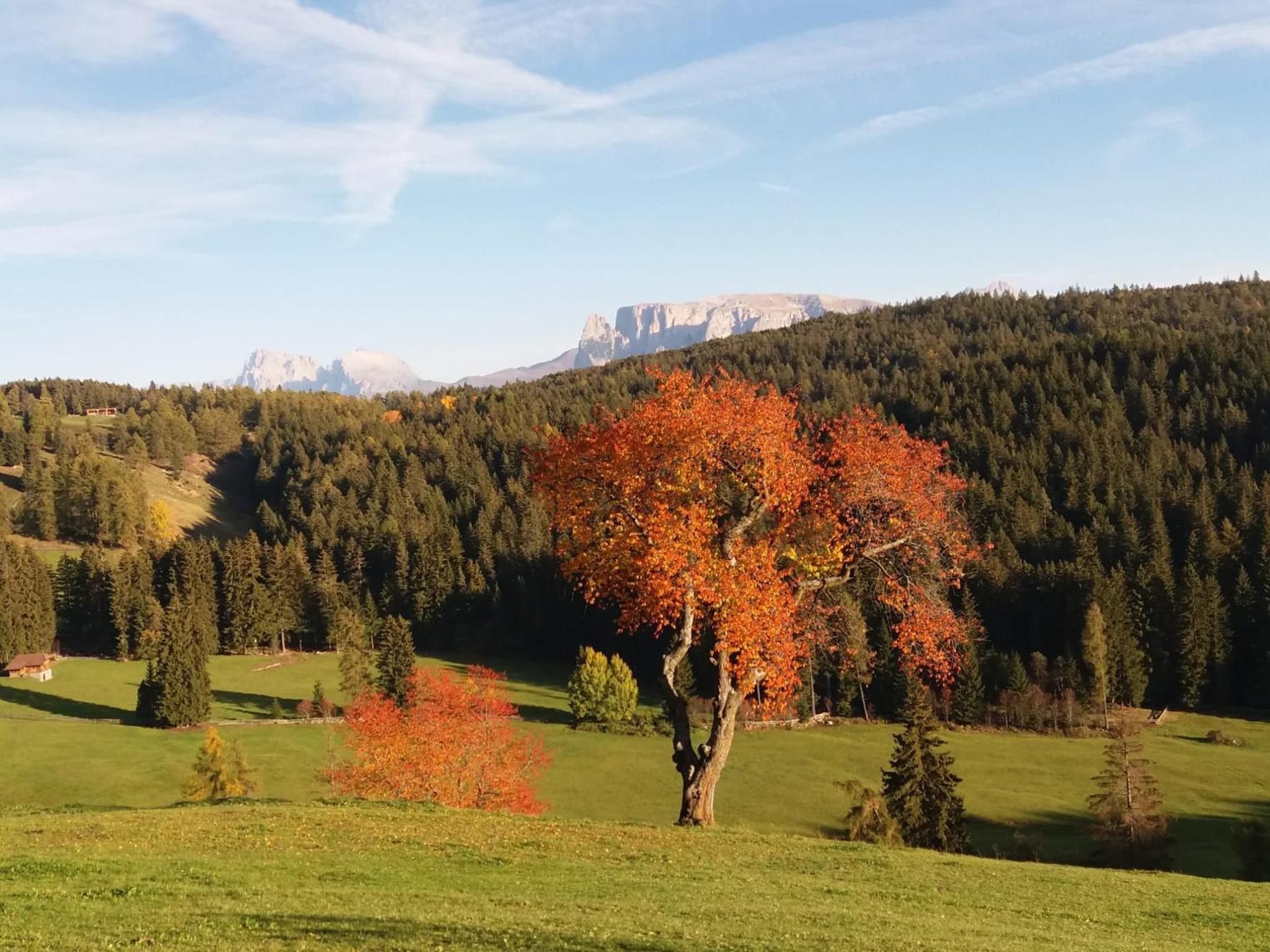 Wolfhof_Ritten