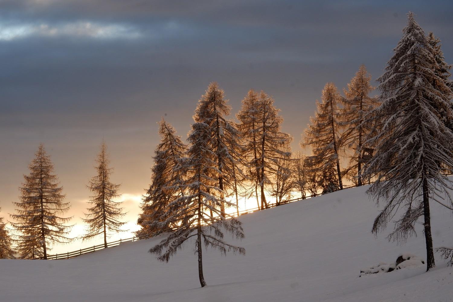 Wolfhof_Ritten