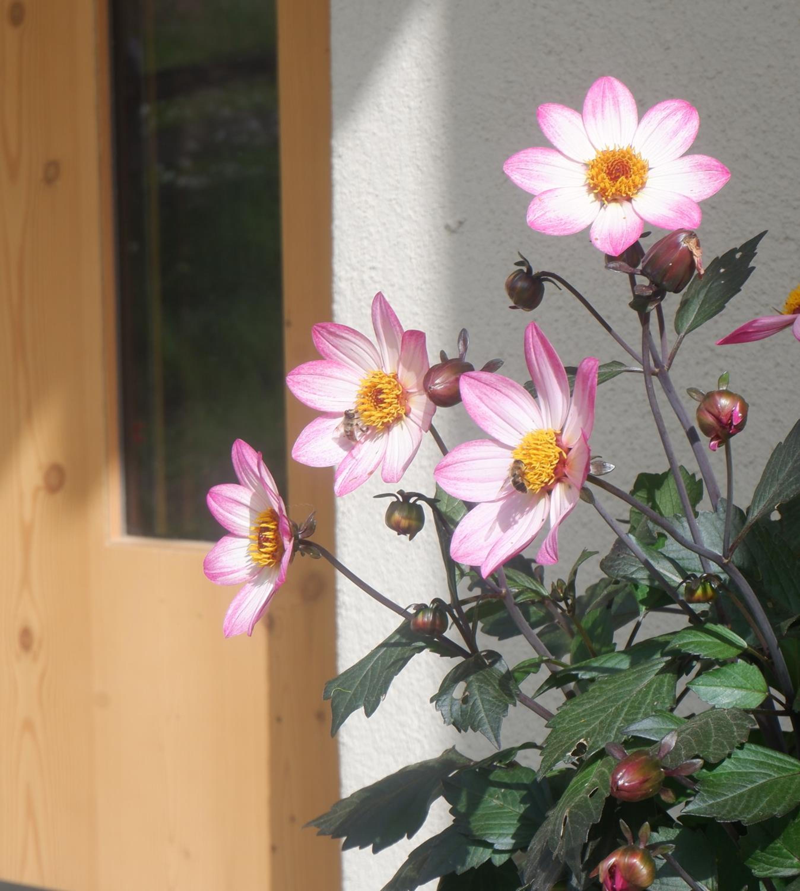 Wolfhof_Ritten