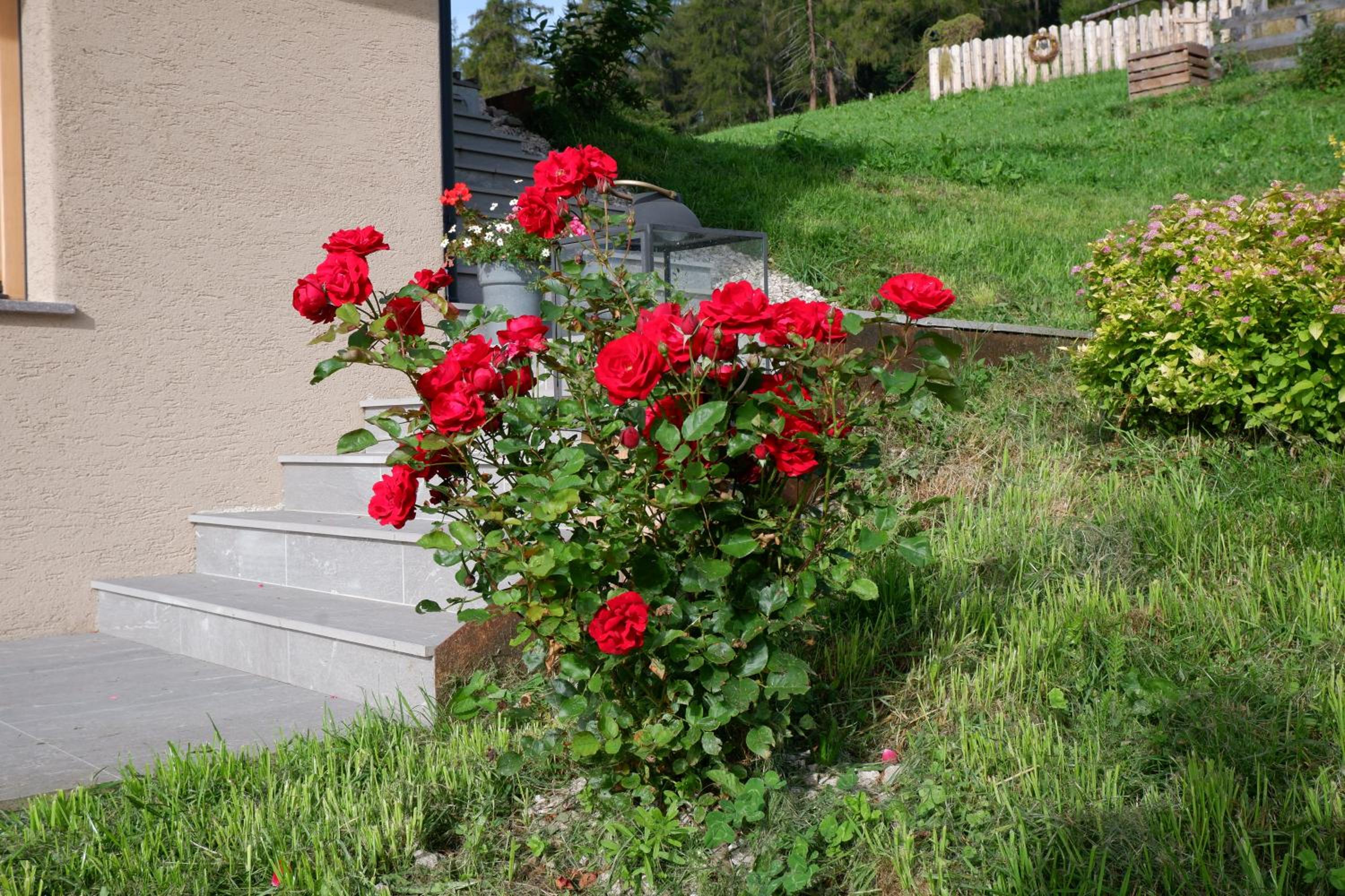 Wolfhof_Ritten