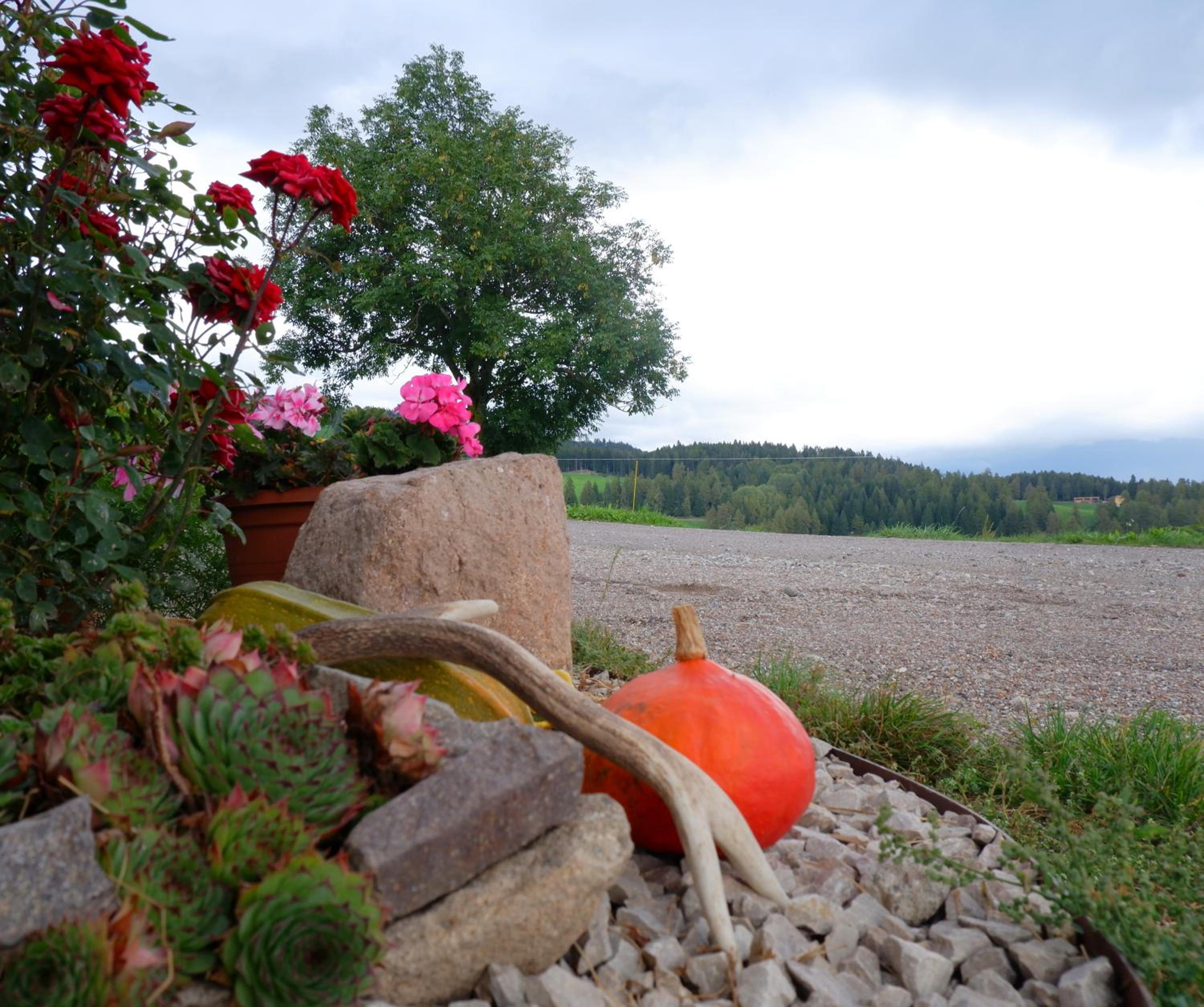 Wolfhof_Ritten