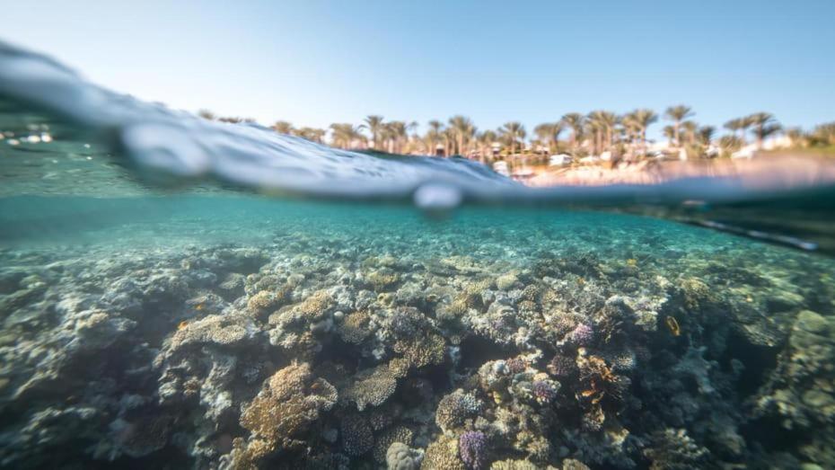 fourseasons resort - chalet- Private Residence at fourseasons sharm elsheikh