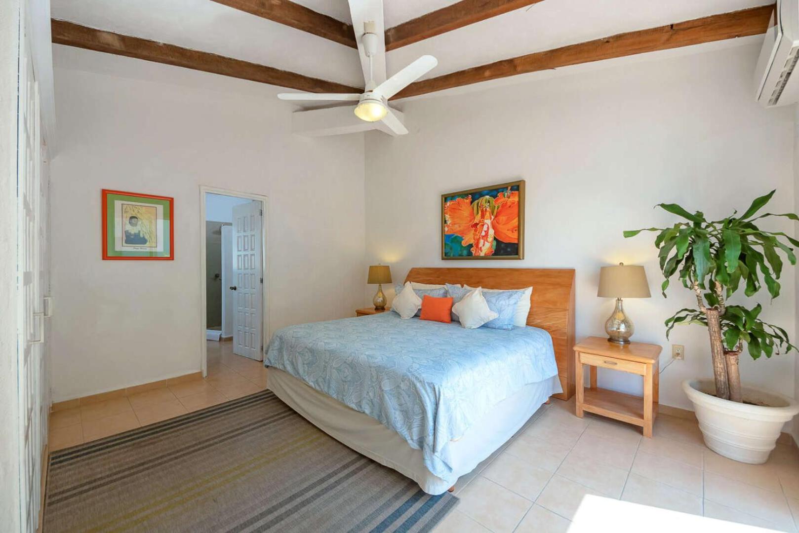 Beachfront House in Puerto Vallarta view 2