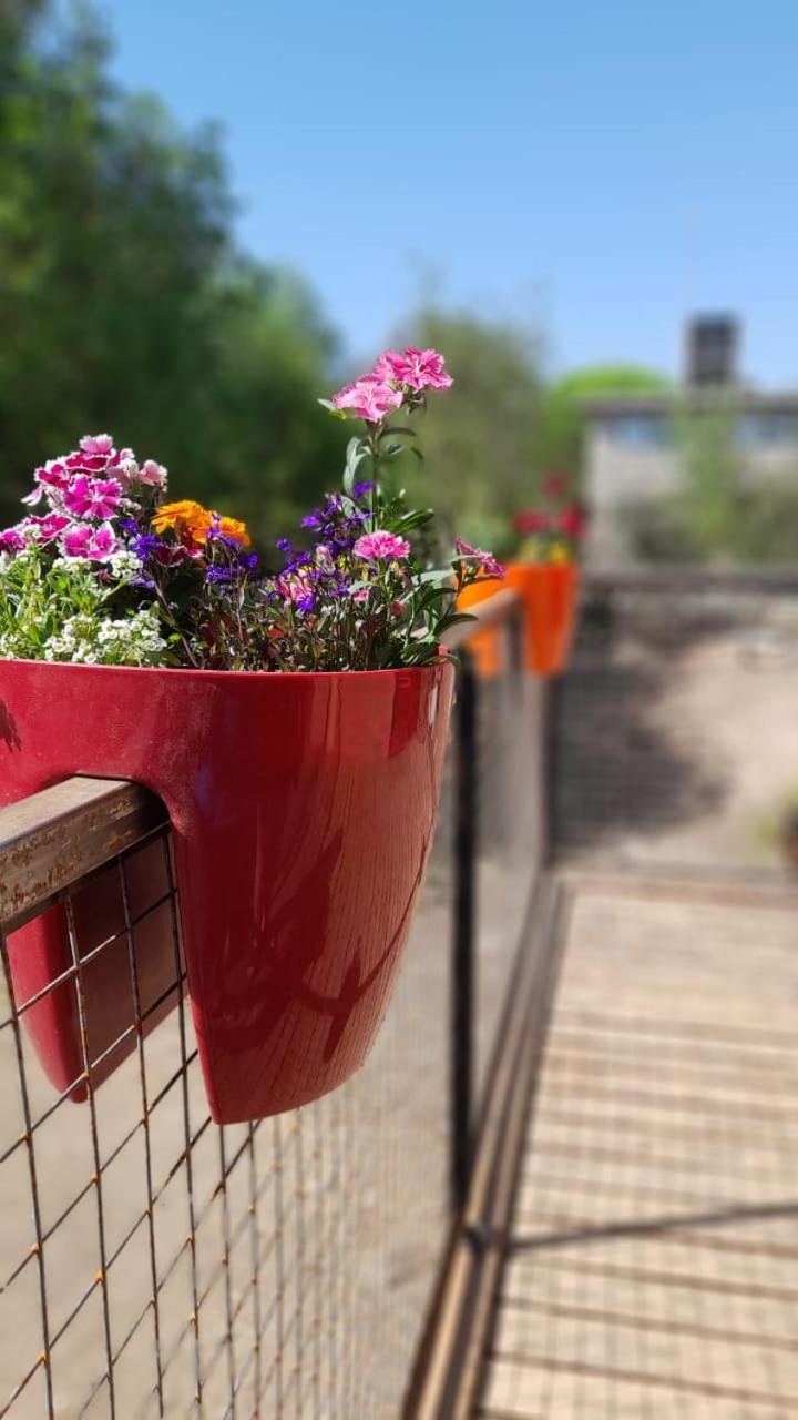 POSADA LAS MARGARITAS
