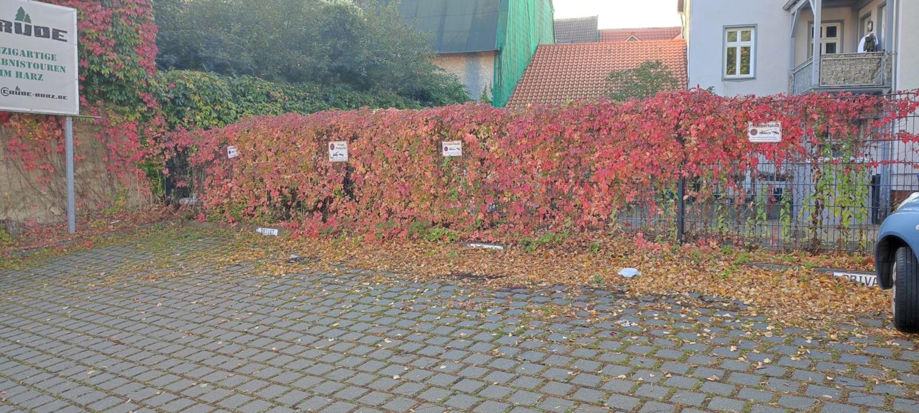 FeWo Am Tummelplatz