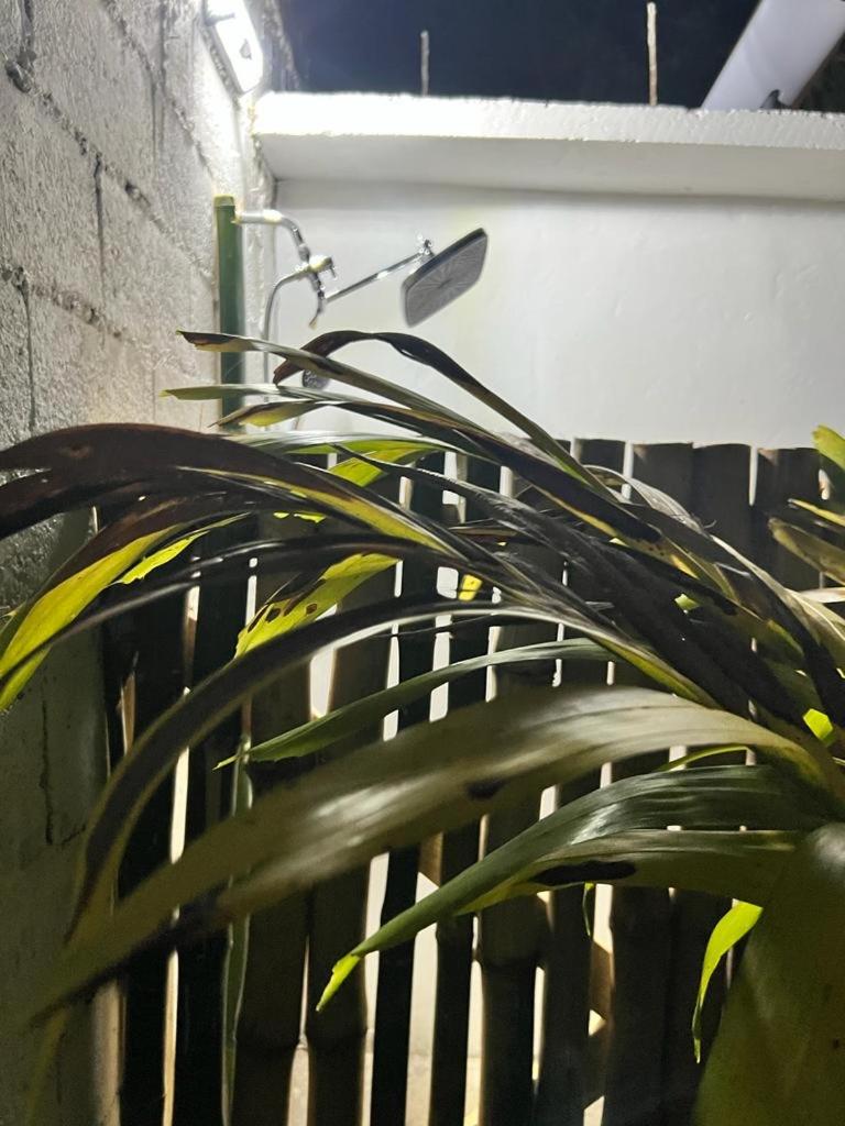 Something Blue, photo 25