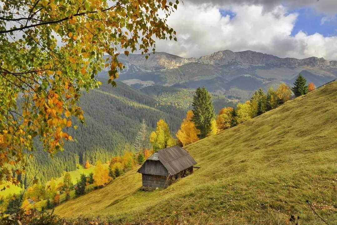 Casa de vacanta Varf de Munte Moieciu de Sus view 3
