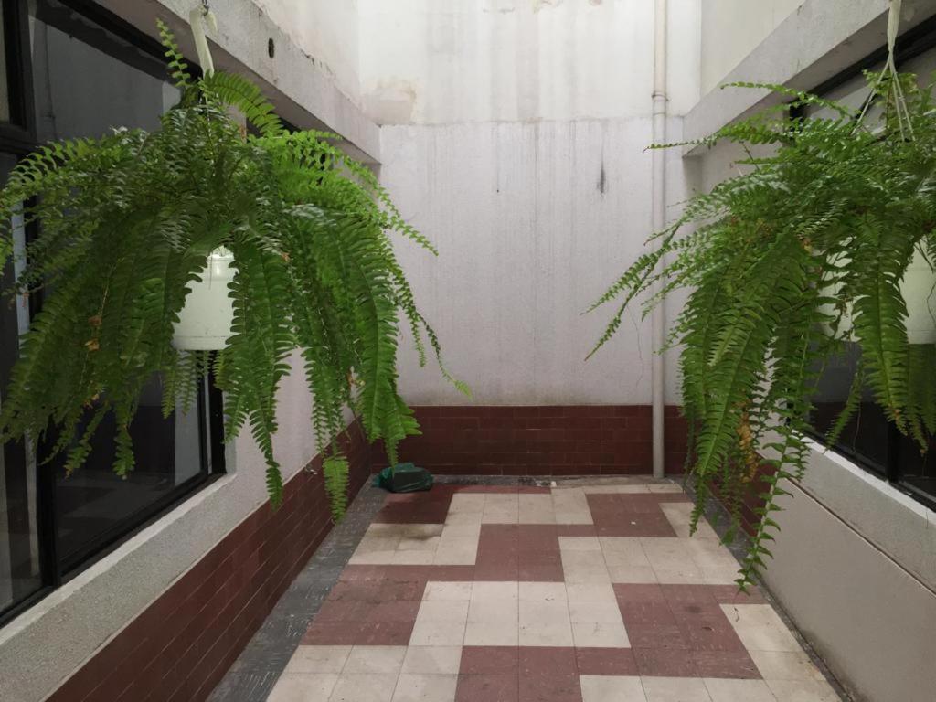 APARTAMENTO EN Santa Monica Residencial