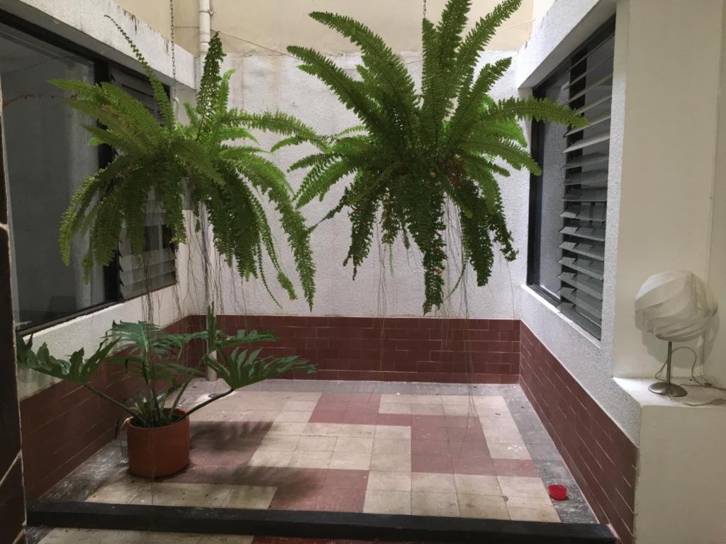 APARTAMENTO EN Santa Monica Residencial