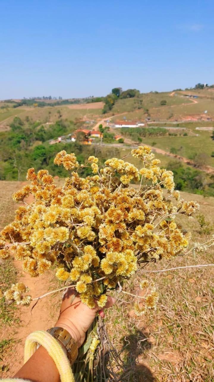 Fazenda do Engenho