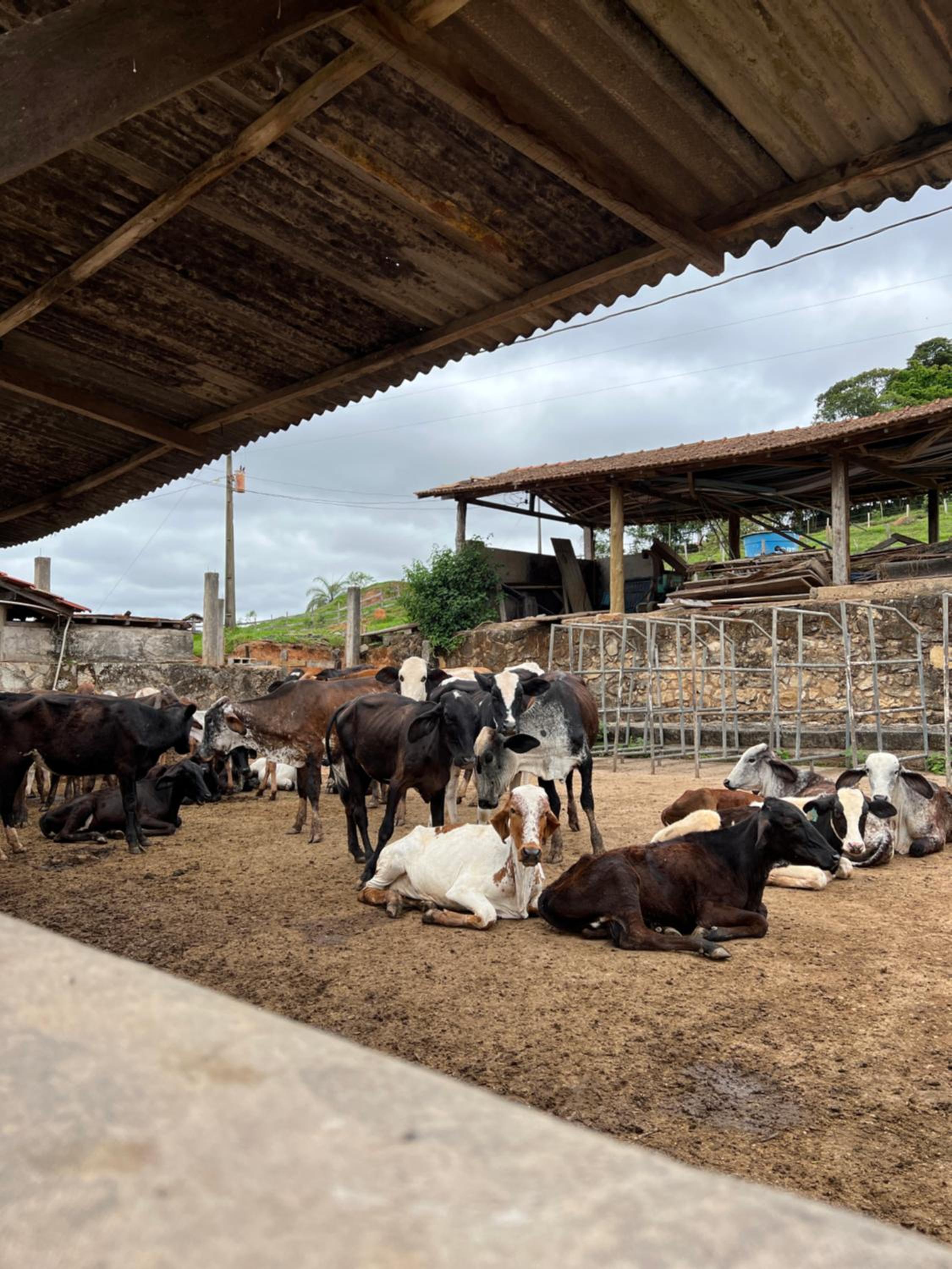 Fazenda do Engenho