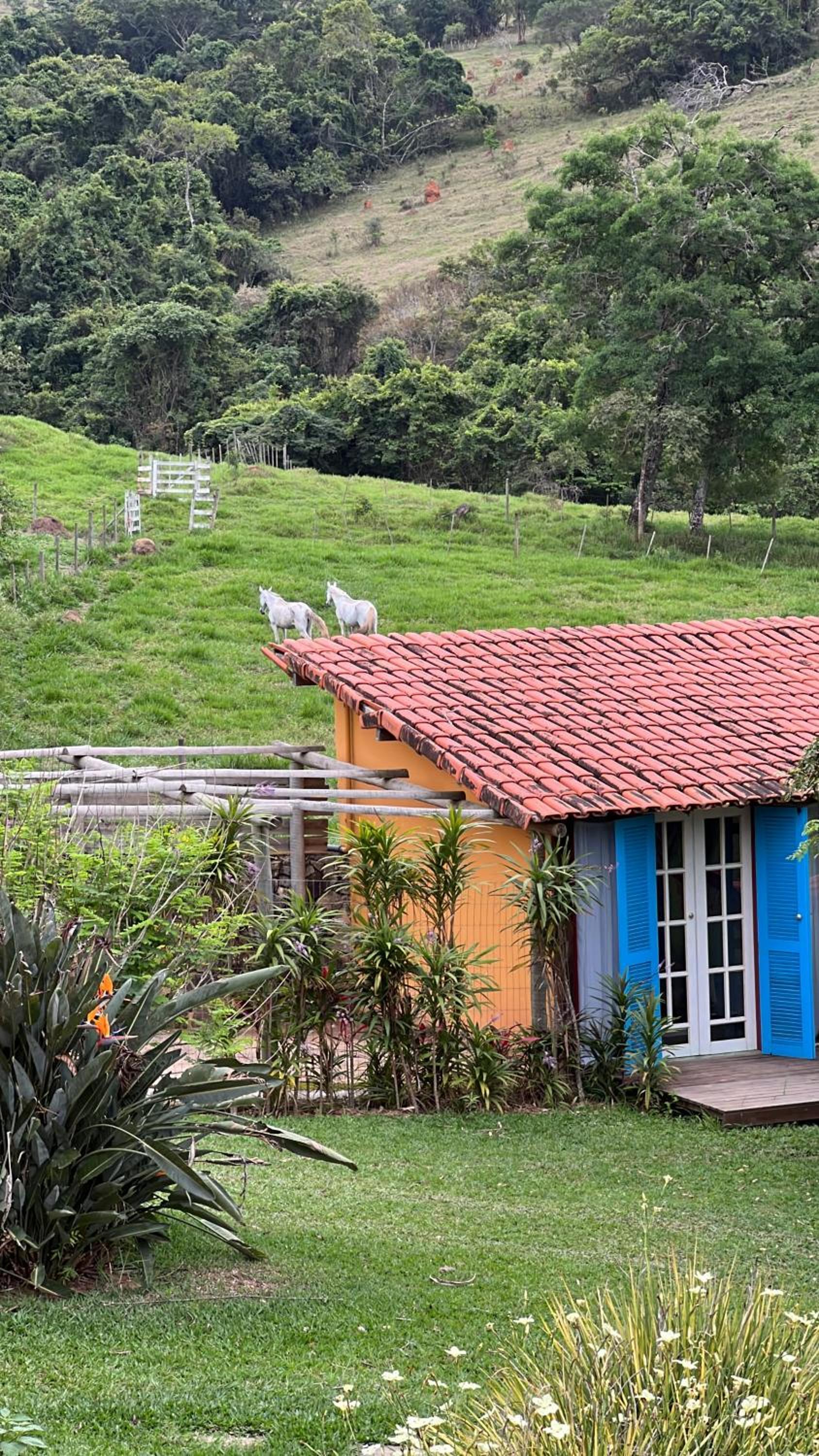 Fazenda do Engenho
