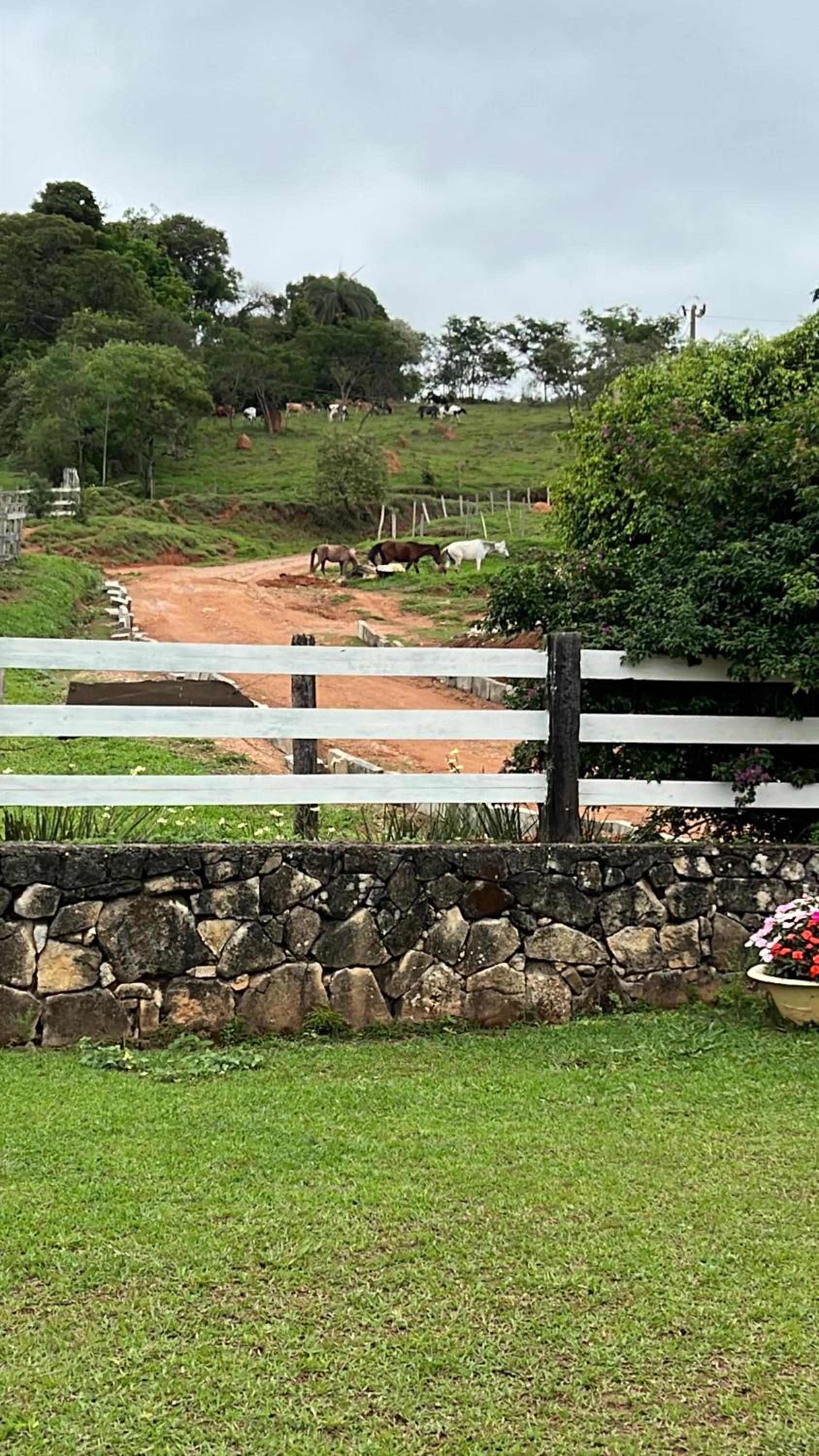 Fazenda do Engenho
