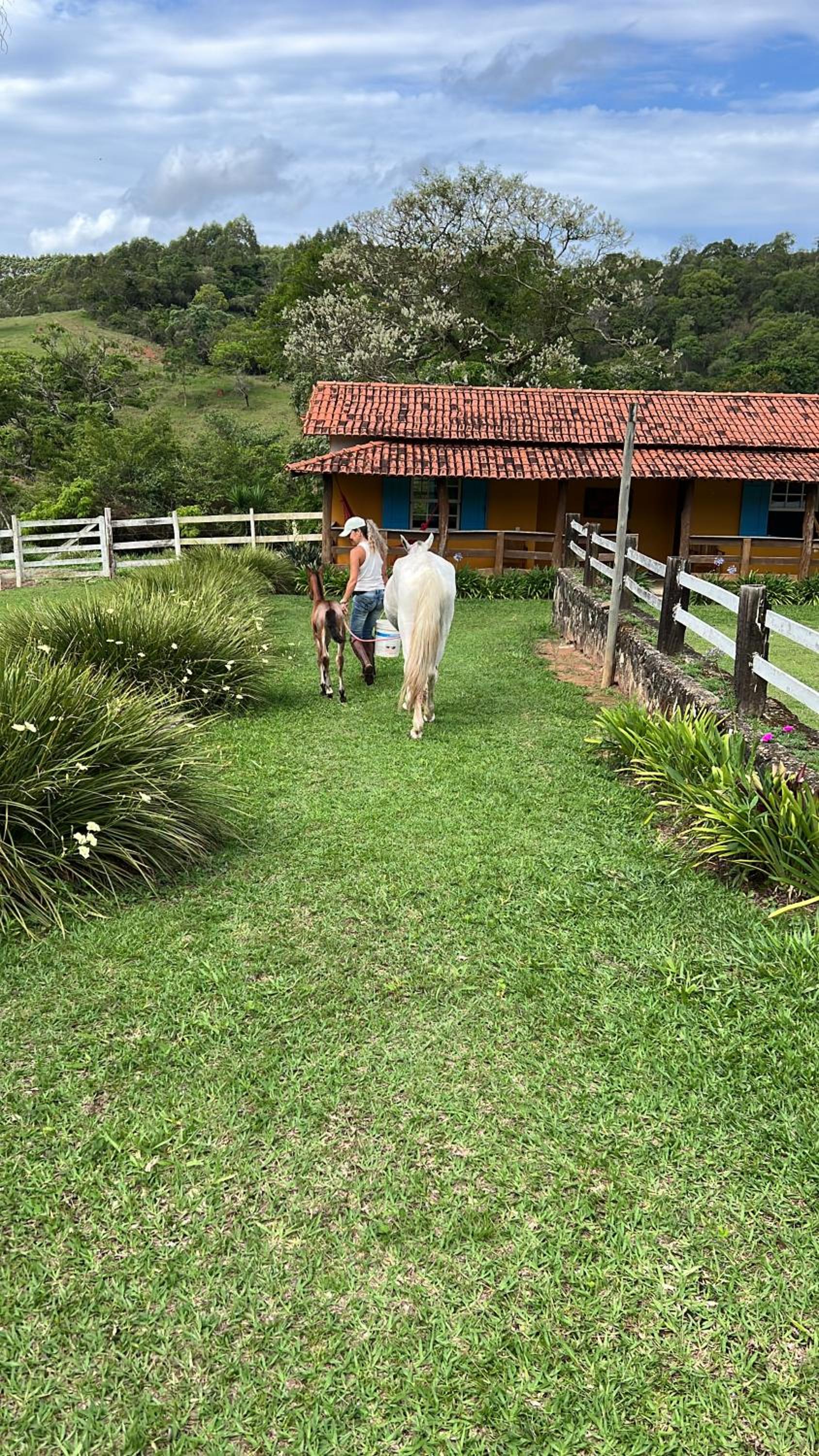 Fazenda do Engenho
