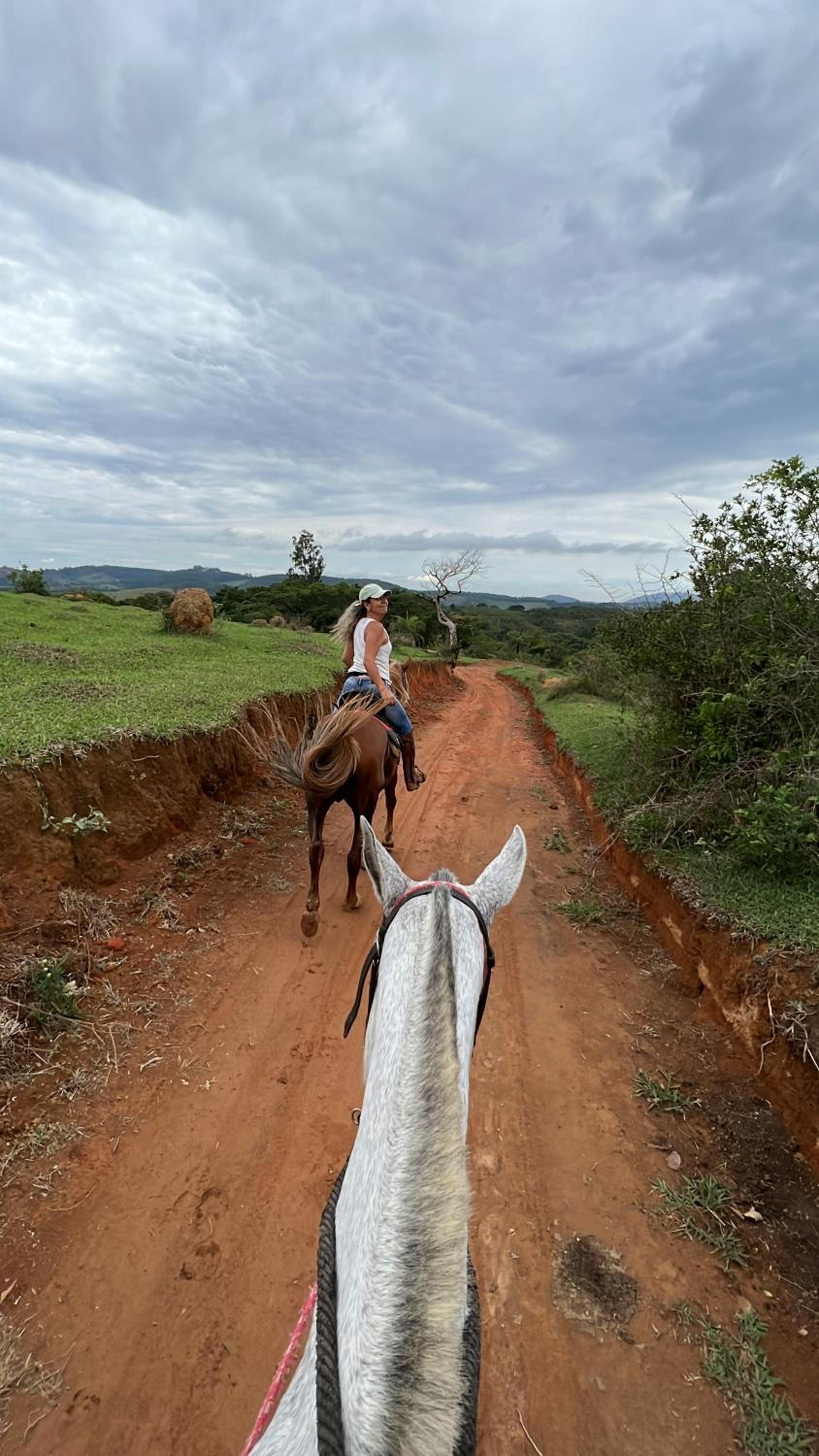 Fazenda do Engenho