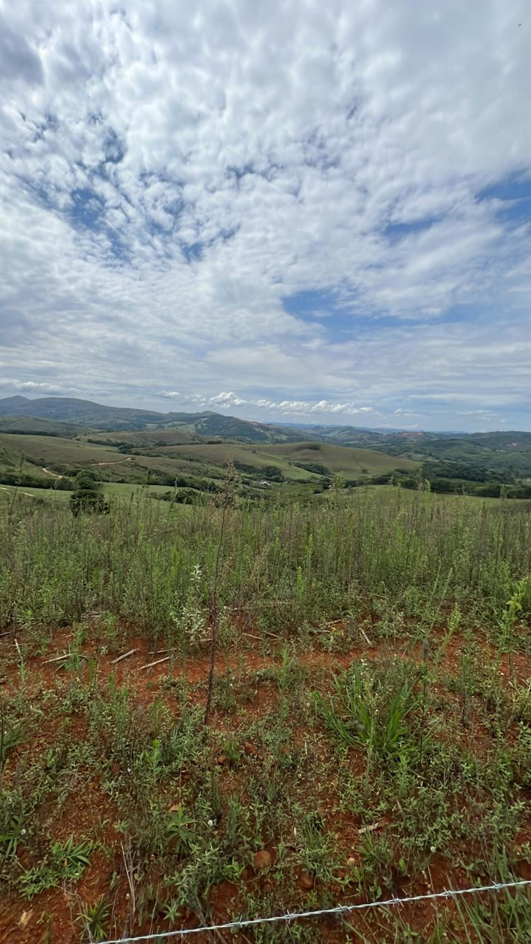 Fazenda do Engenho