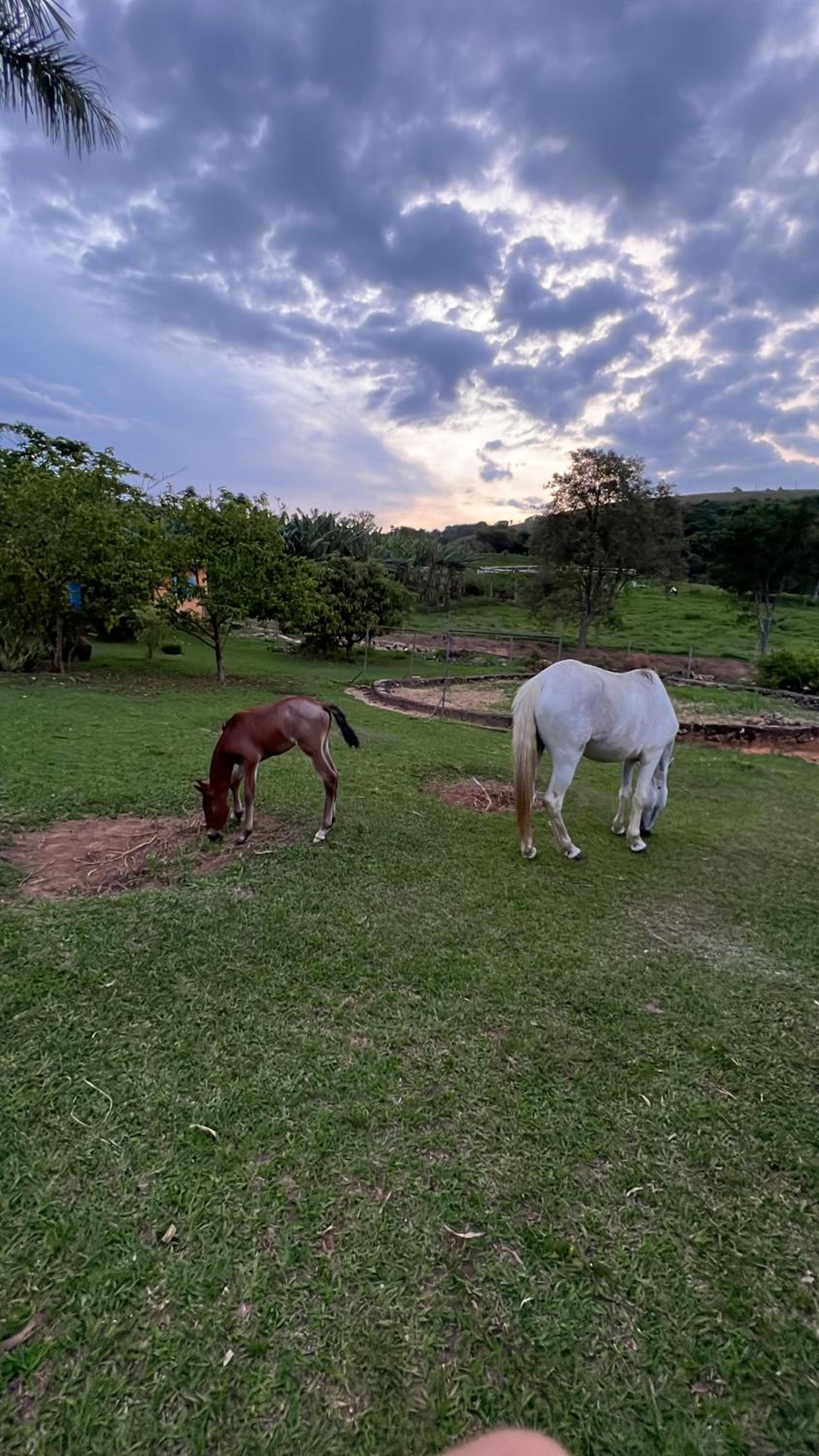Fazenda do Engenho