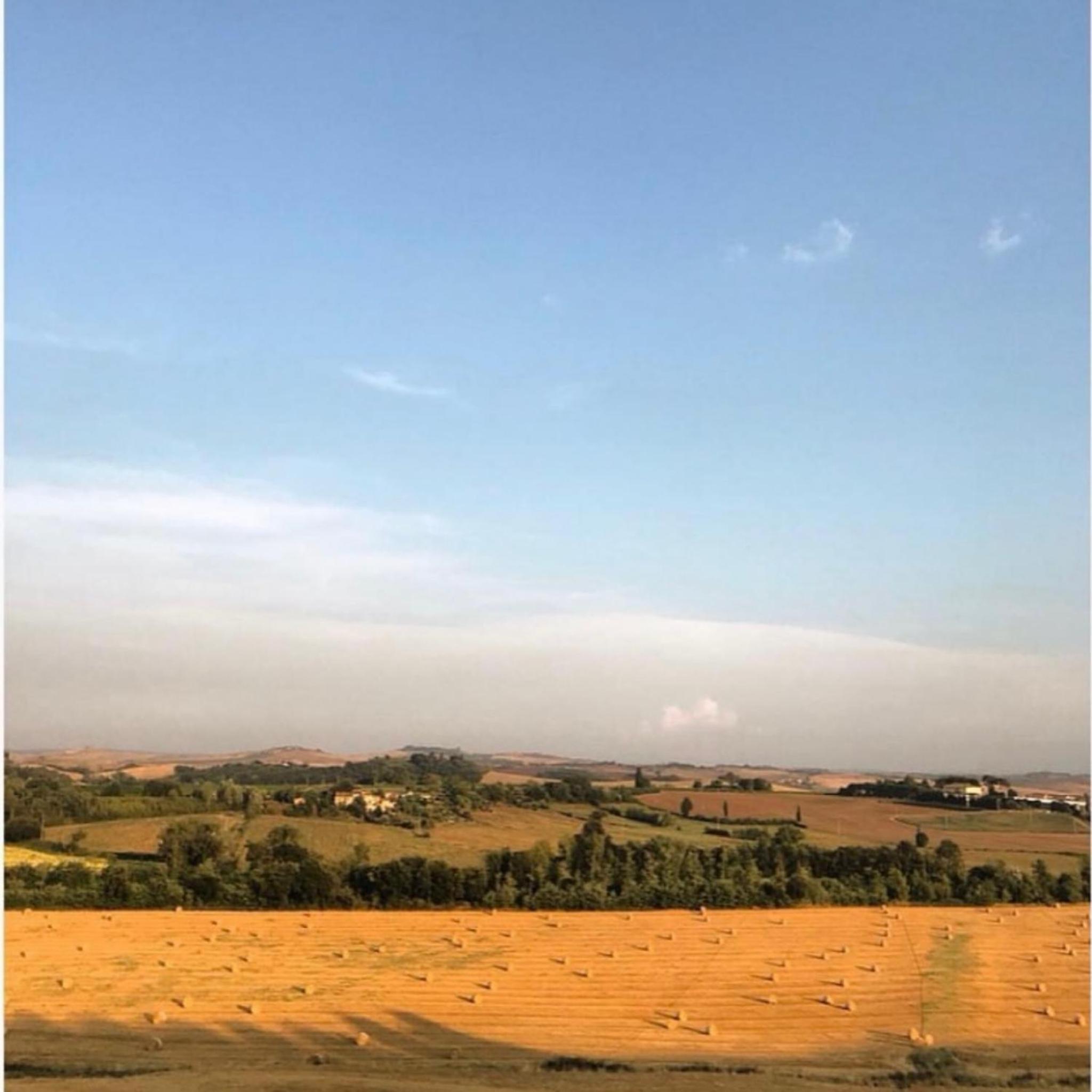 PodereCasello Vicodarbia Siena