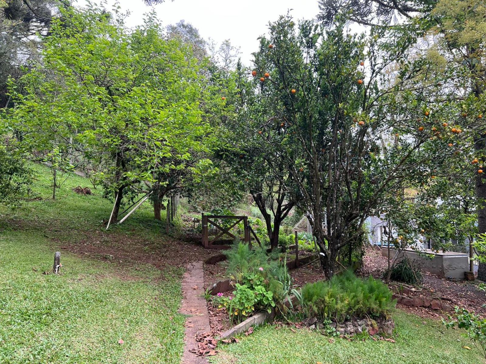 Casa 4 suíte, piscina interna em Pinto Bandeira
