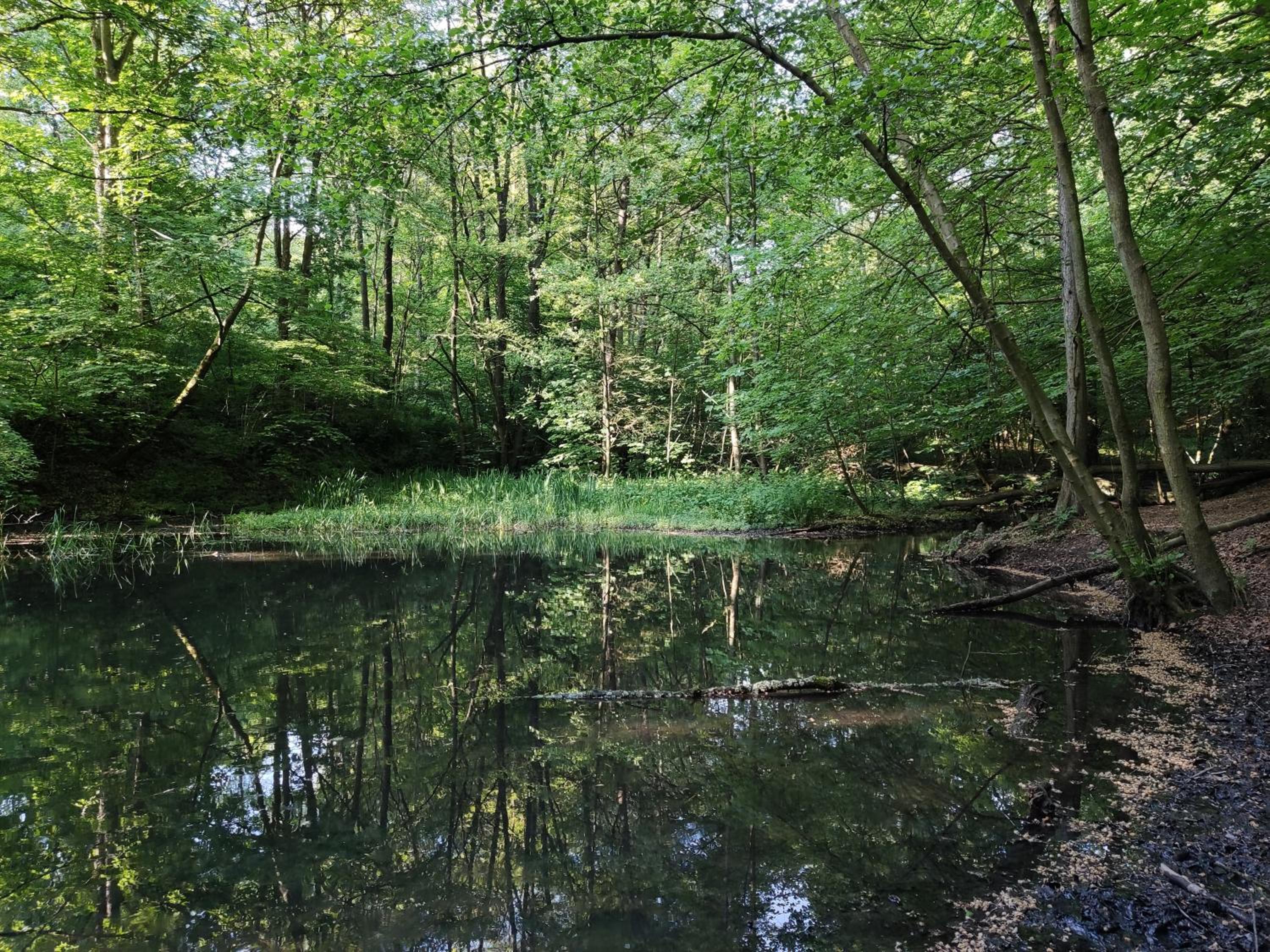 Grüne Oase Bochum
