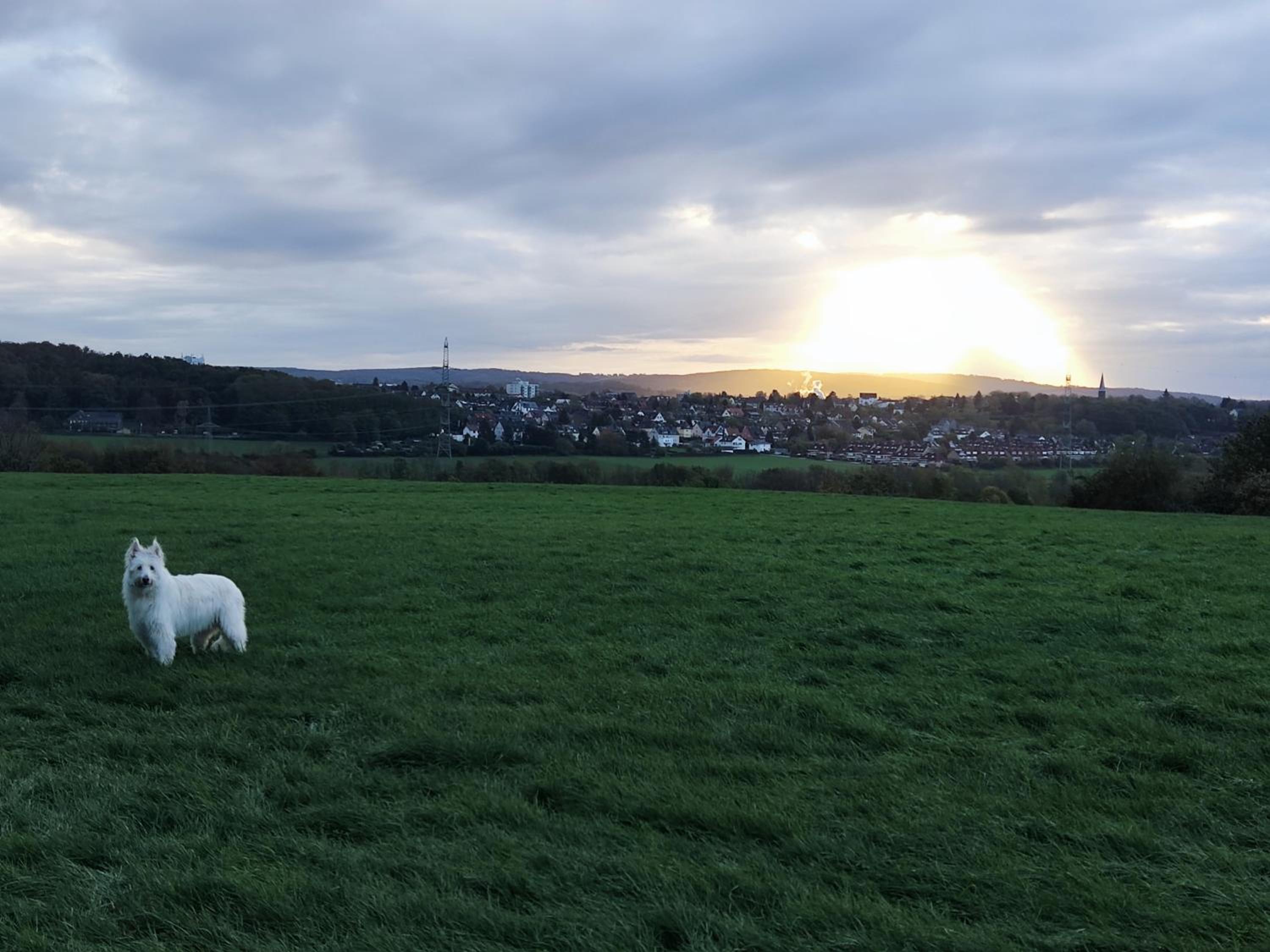 Grüne Oase Bochum