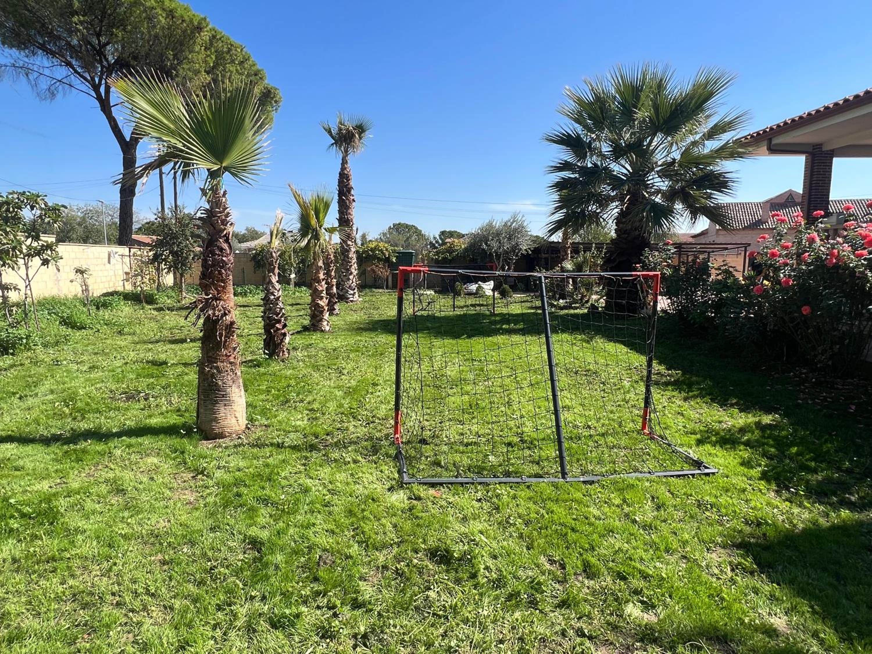 Villa palmeras