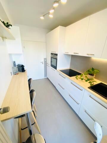 New Large 1 bedroom flat in Center with Parking - 64