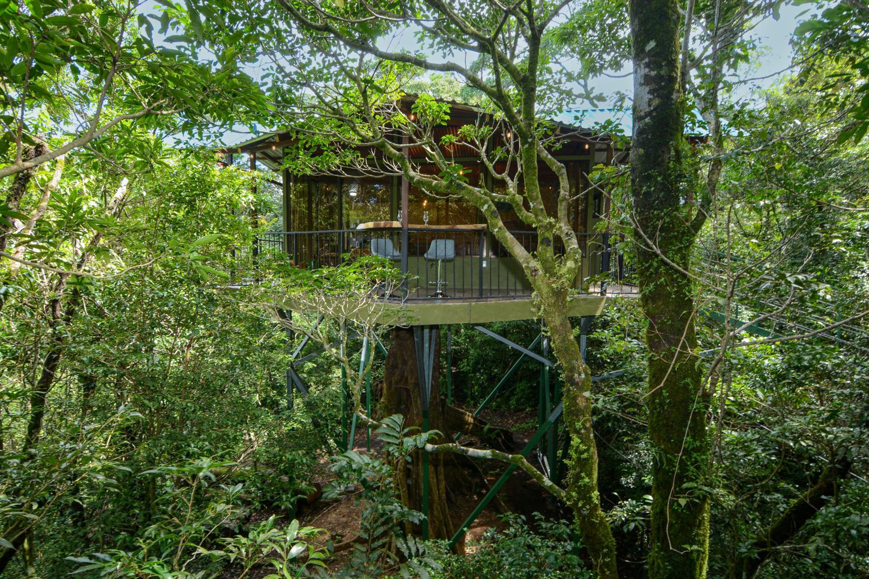 Cabañas La Montaña