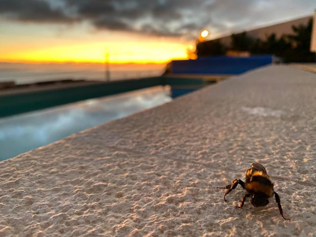 Villa Sundowner