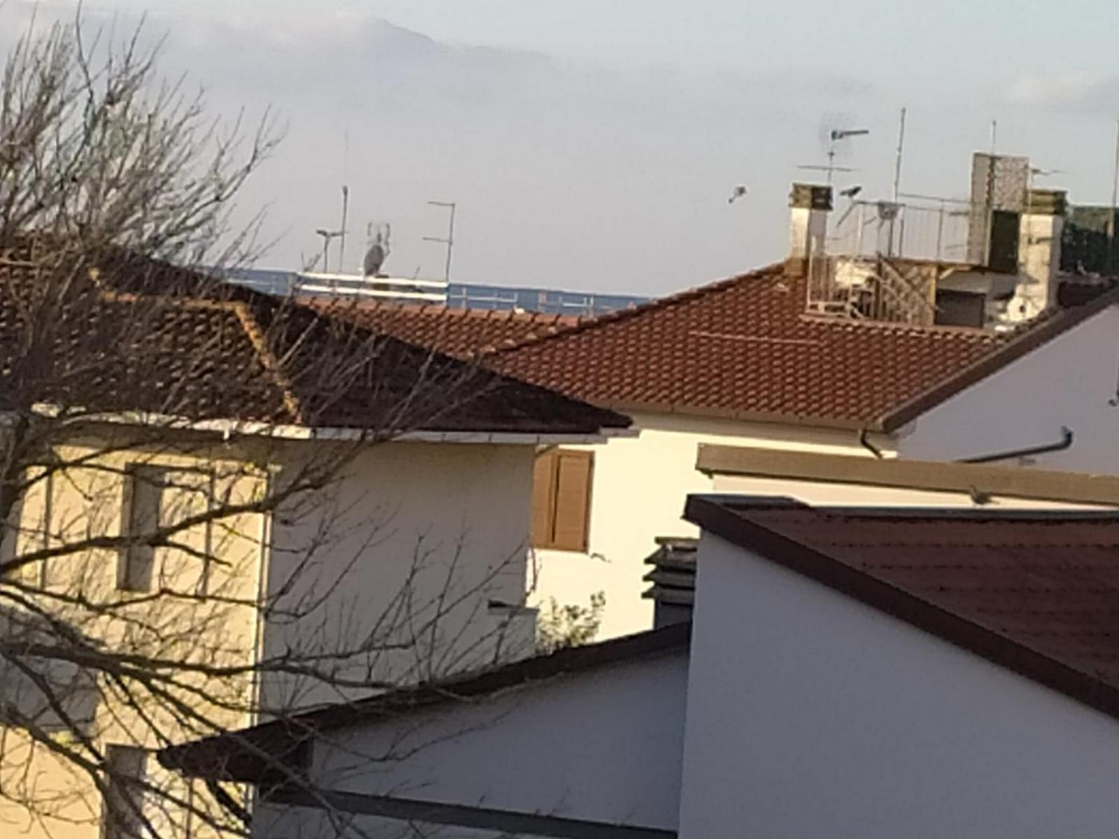 Mar-Vada Apartment Relax at the Tuscany coast