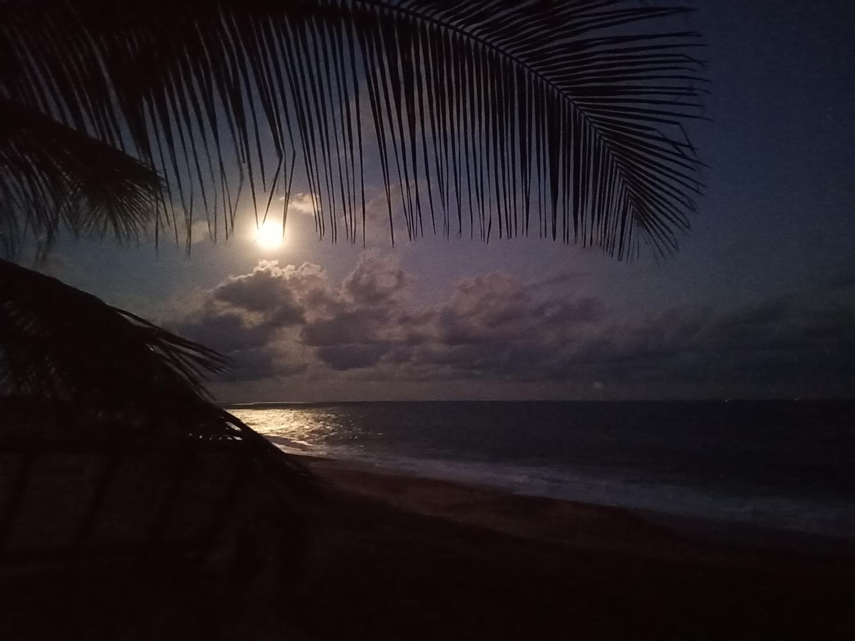 Beach Bungalow