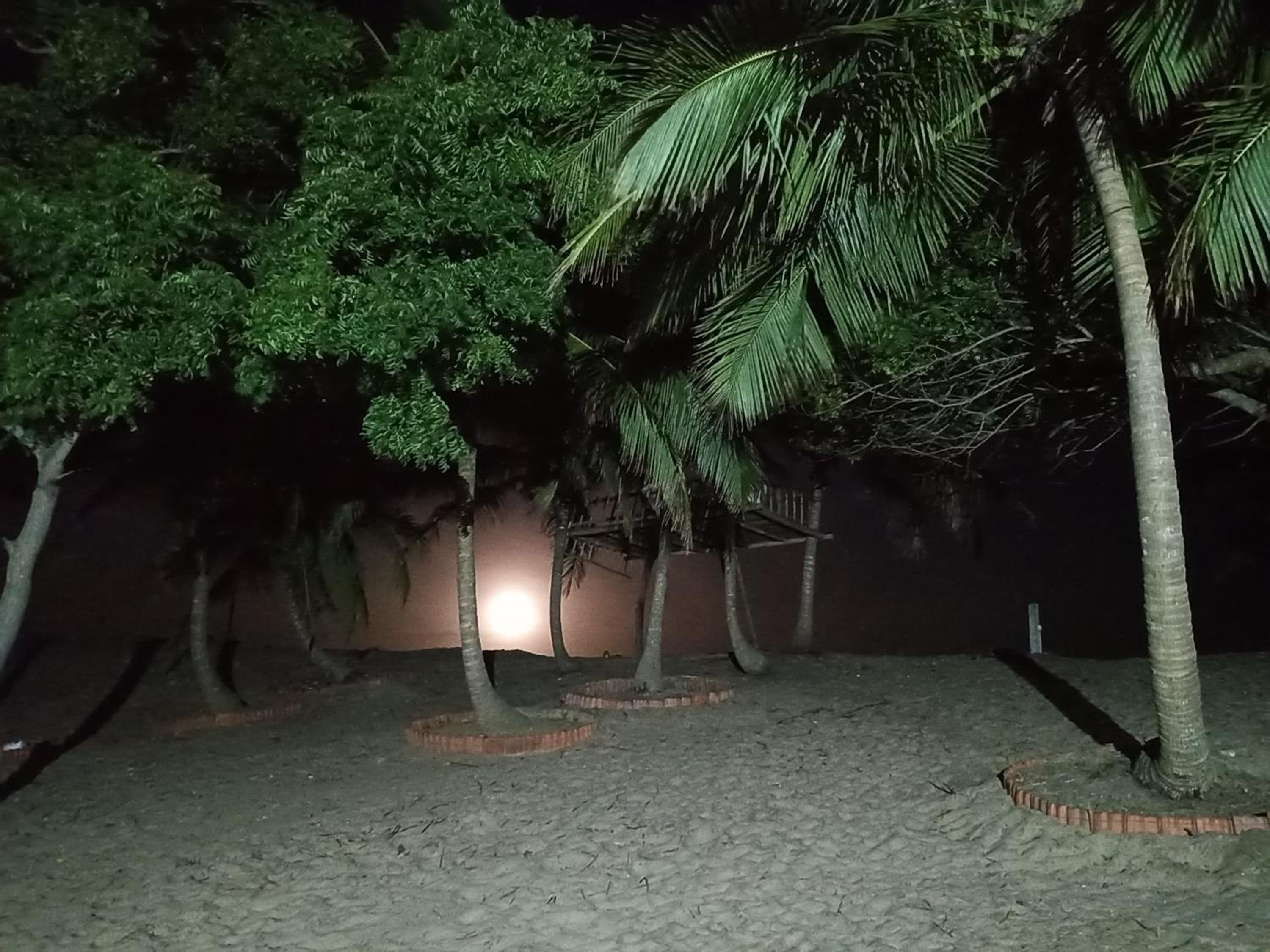 Beach Bungalow