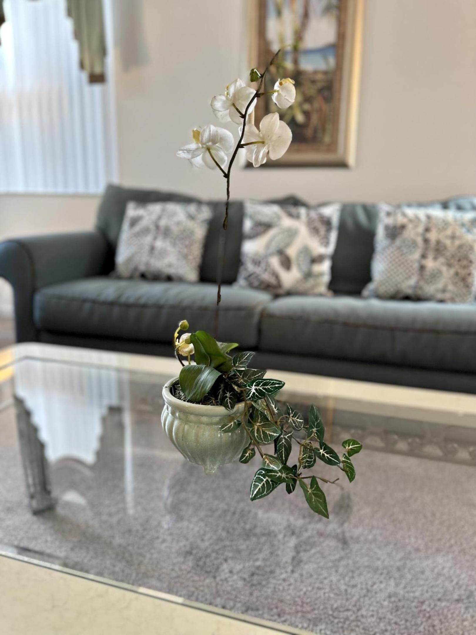 Private Pool And Spa - Pet Friendly view 2