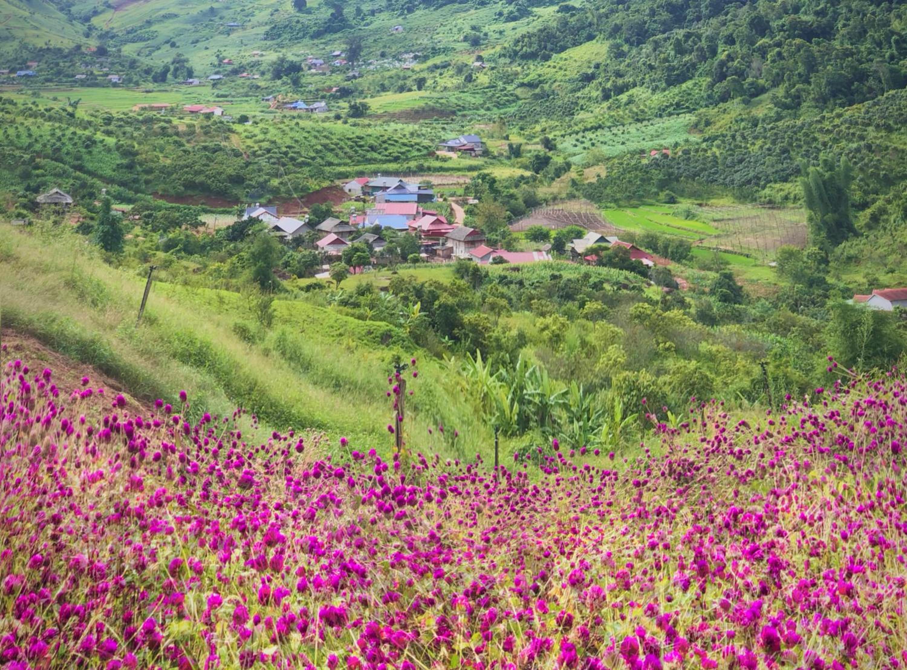 Mường Sang Farmstay view 5