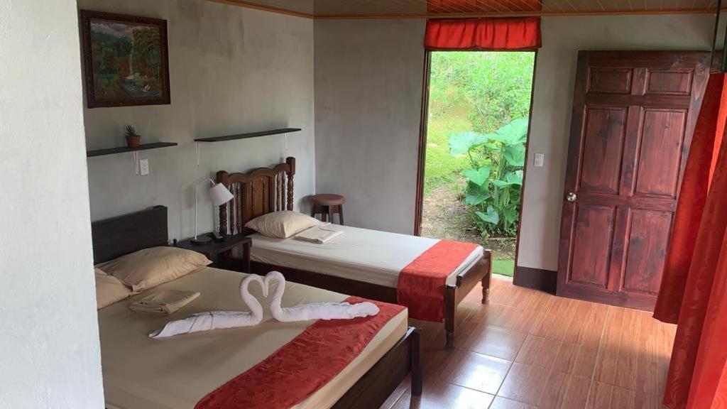 Cabañas Colibrí Tayutic view 5