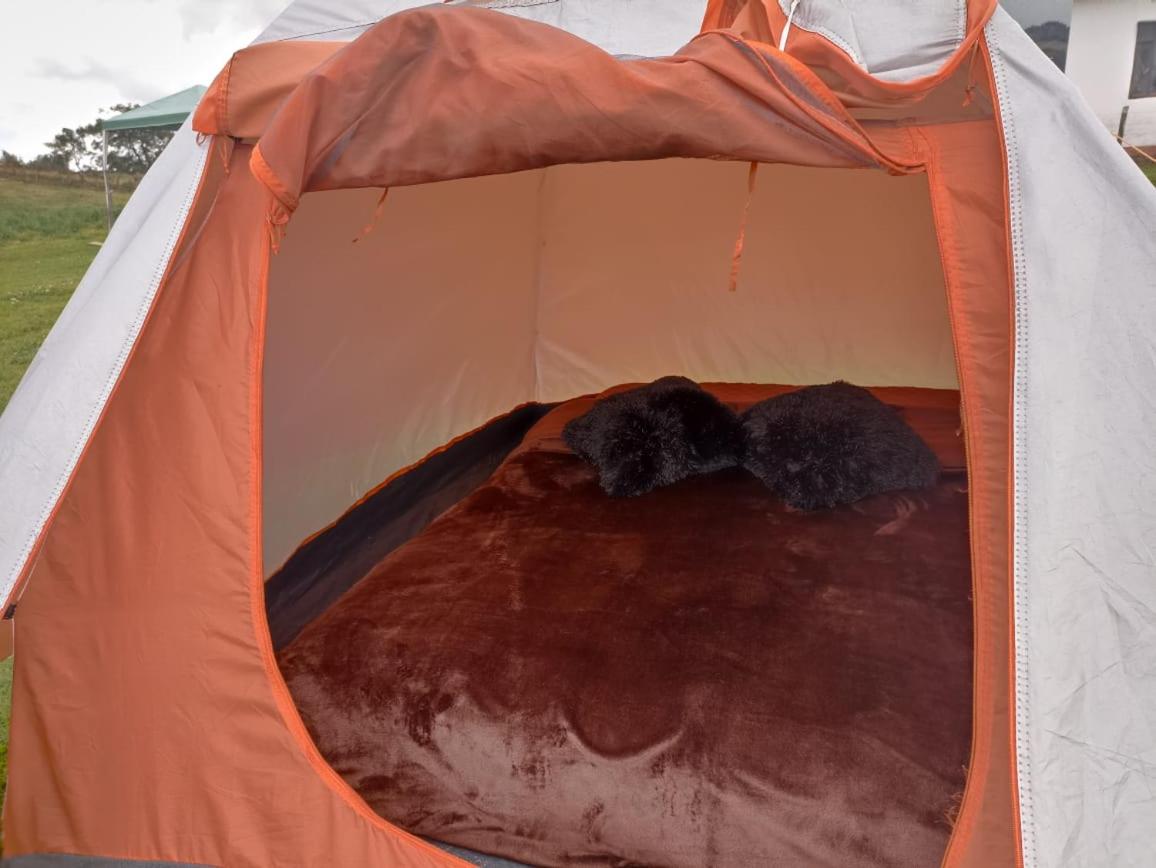 Yinkana Camping y Glamping