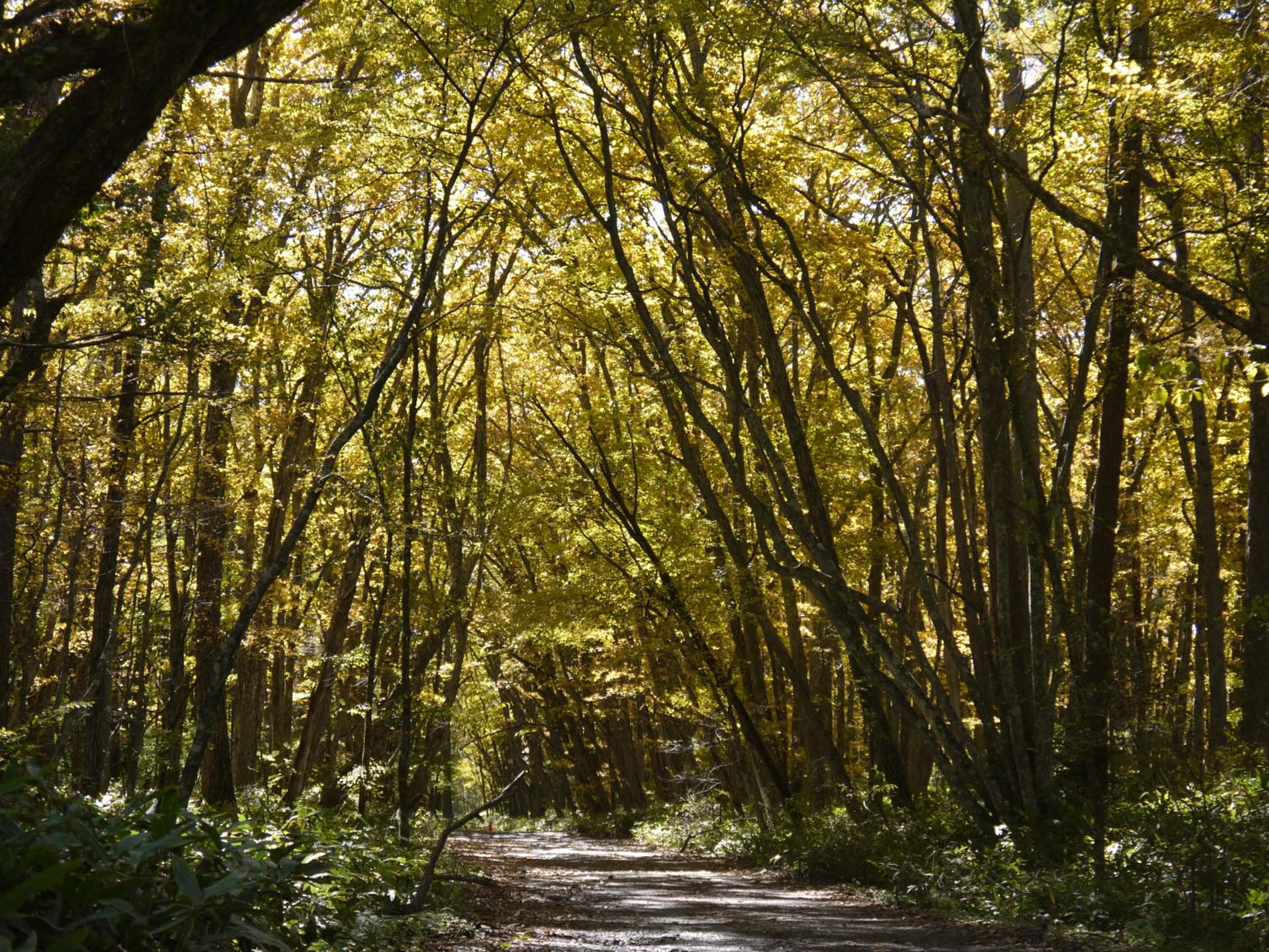 Kyukamura Nikko-Yumoto