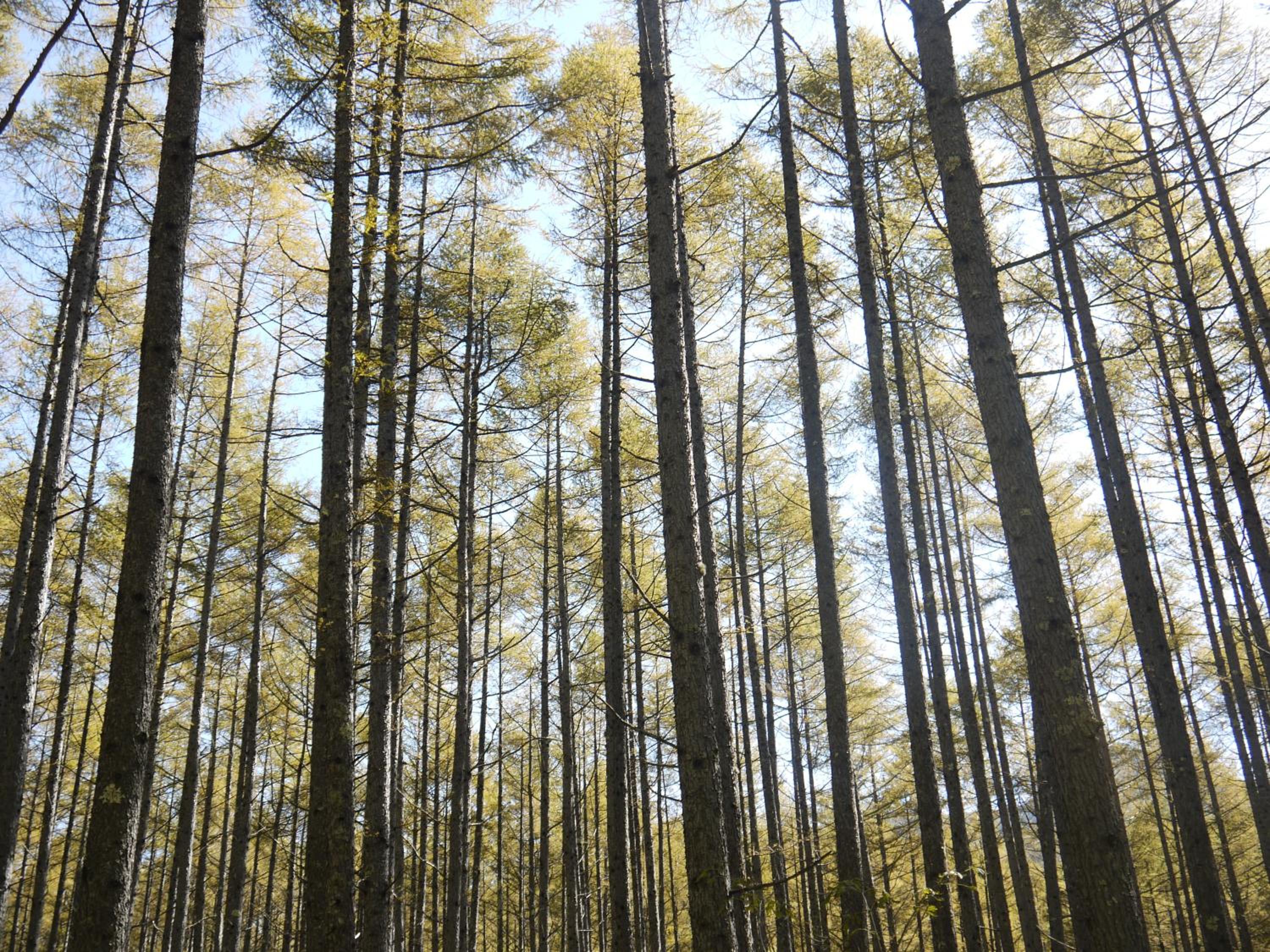 Kyukamura Nikko-Yumoto