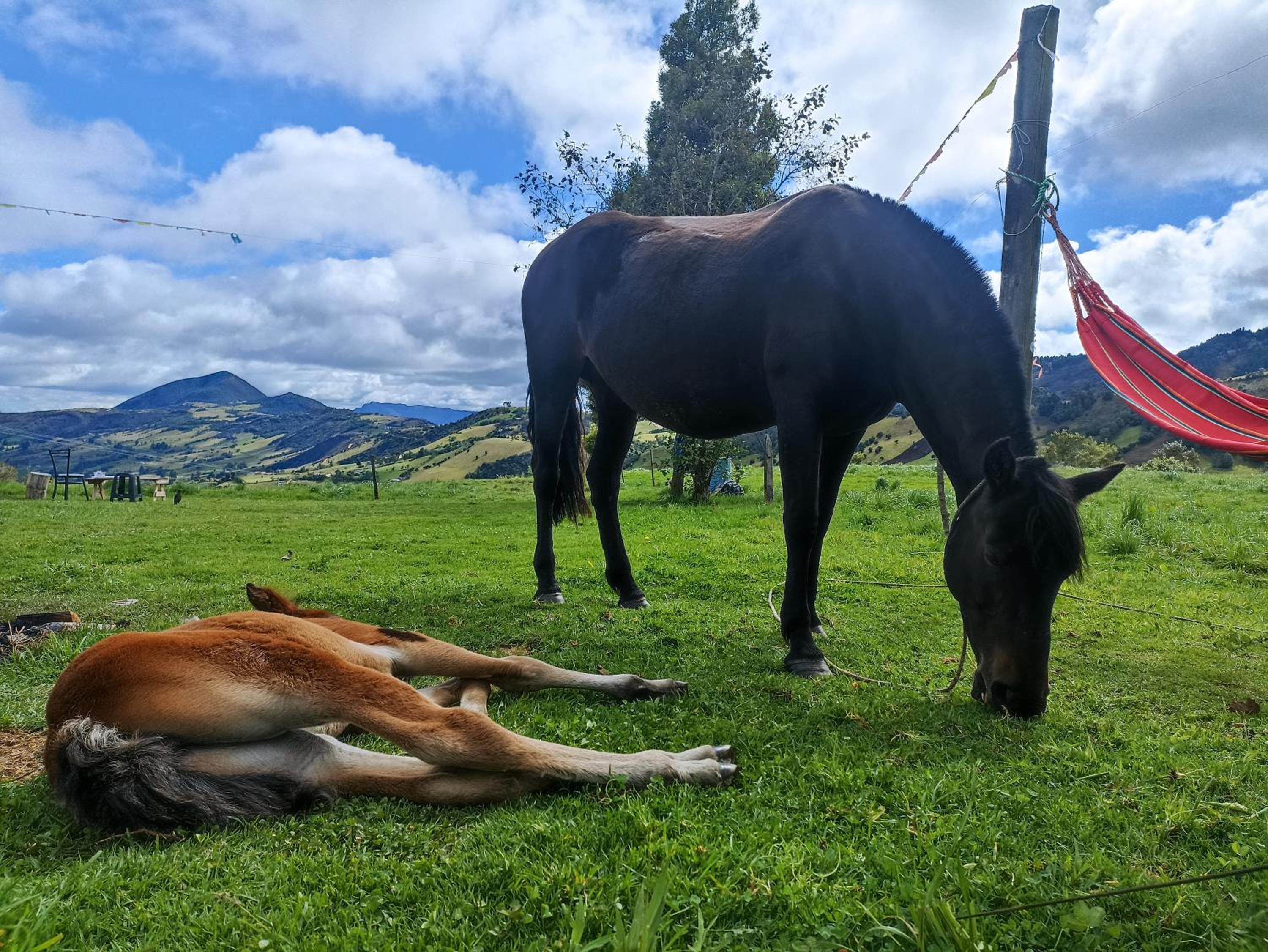 Yinkana Camping y Glamping
