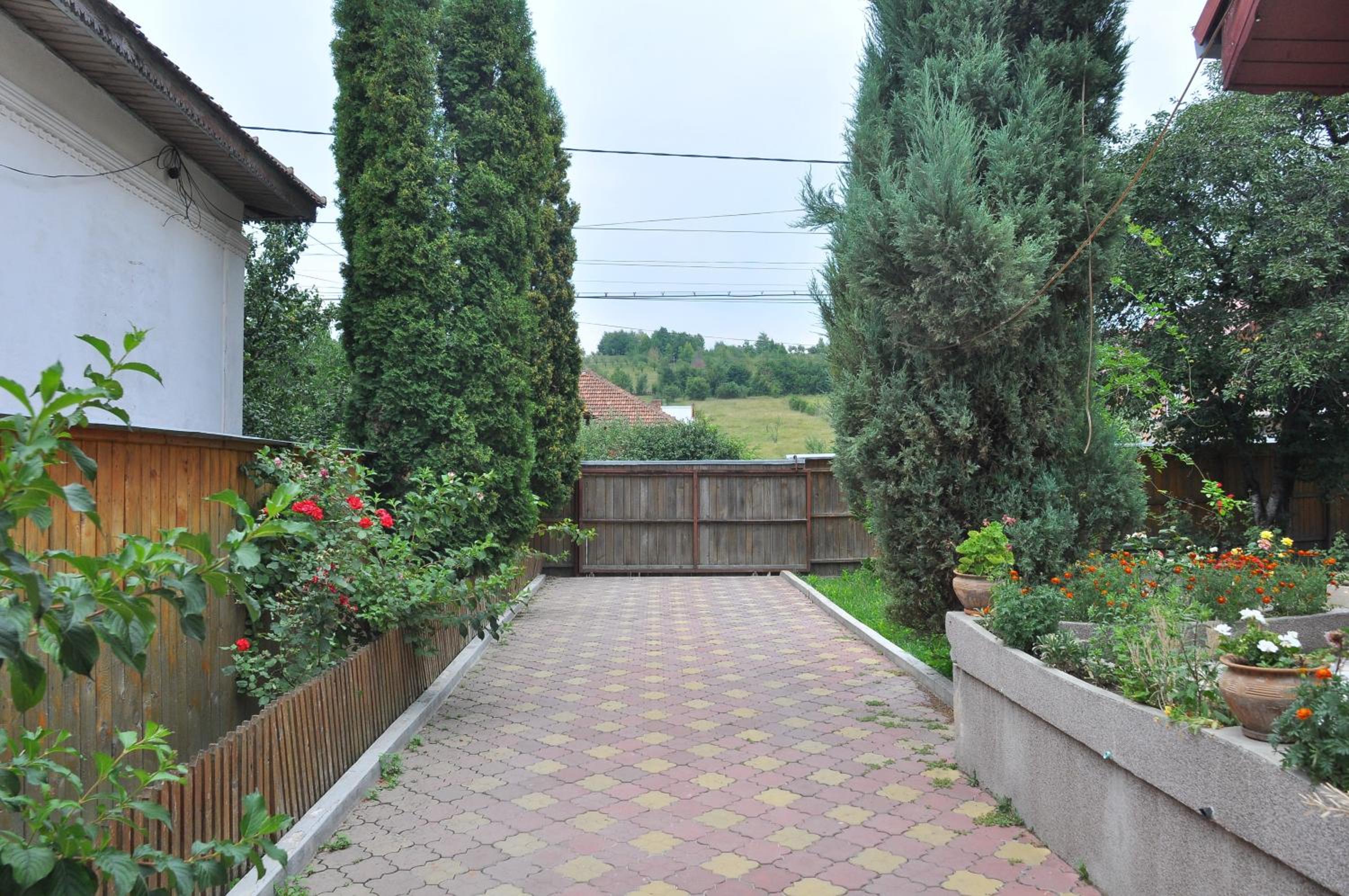 Photo 35