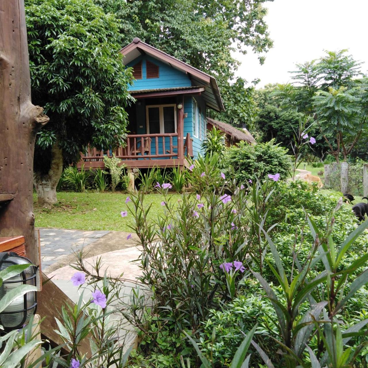 At Home Chiang Dao, Pooch Lovers