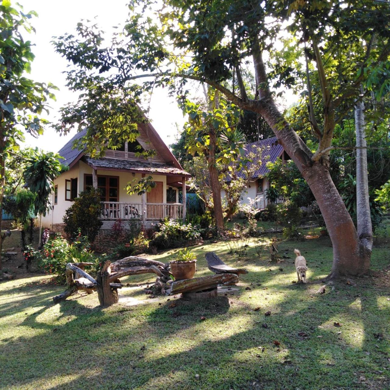 At Home Chiang Dao, Pooch Lovers