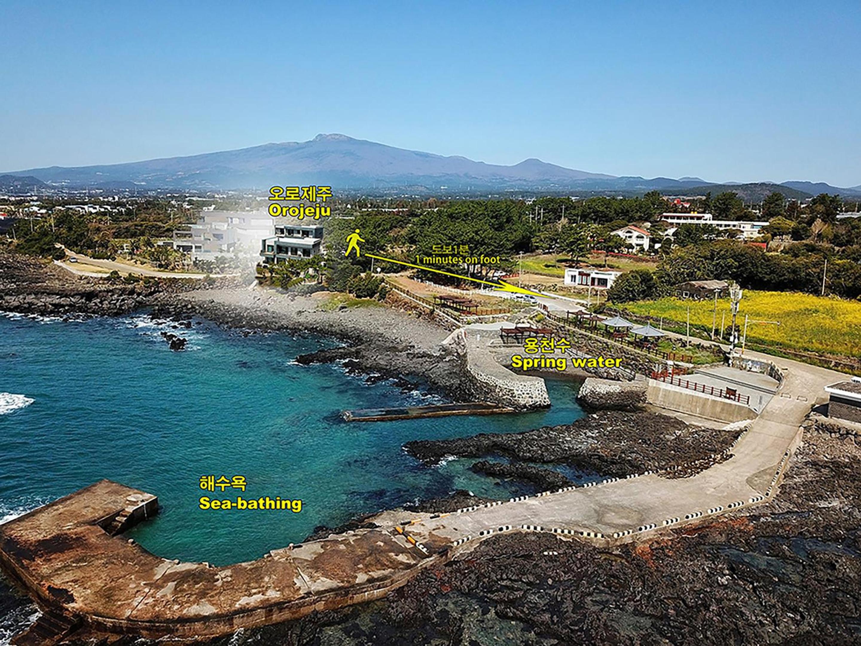 OROJEJU