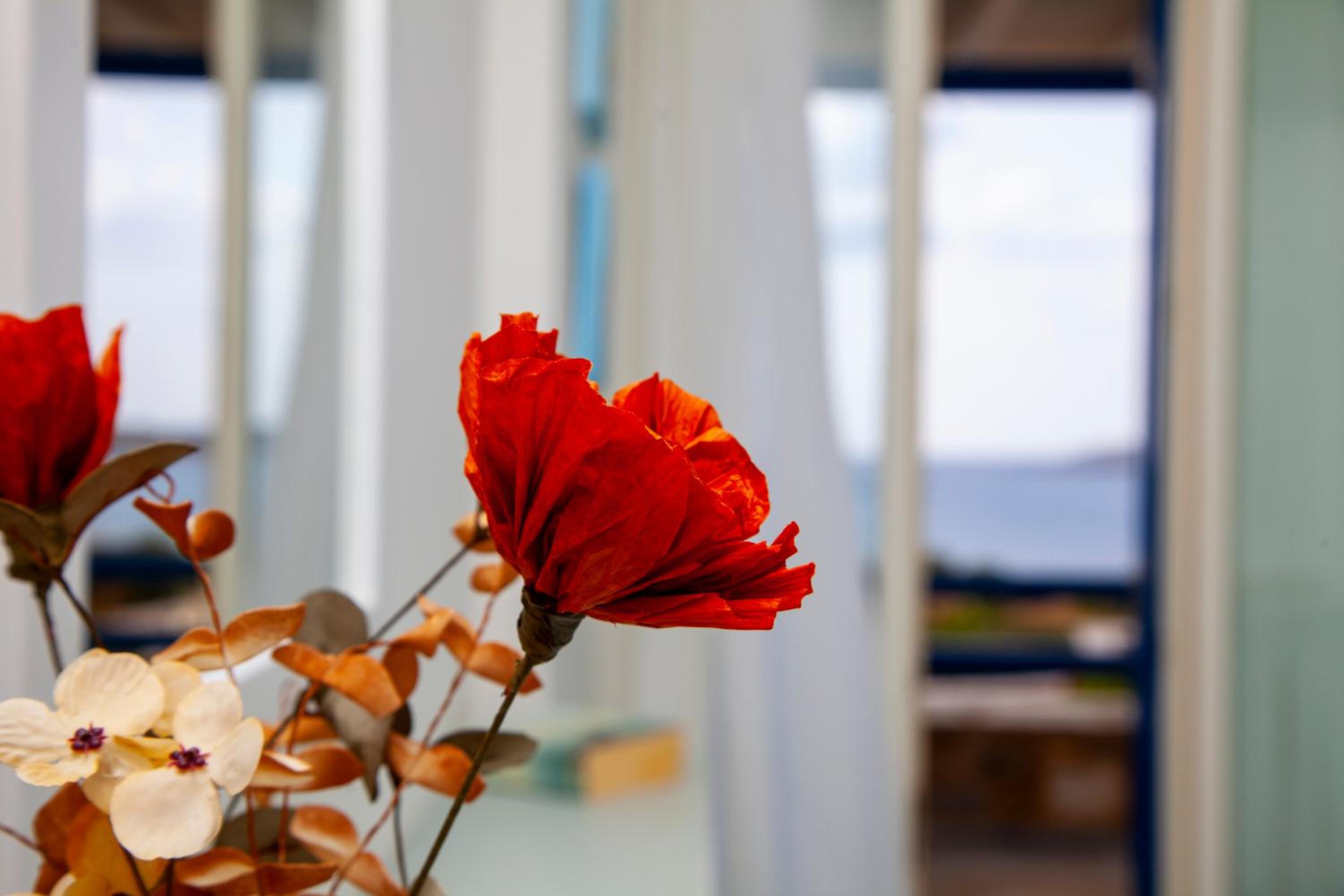 Aura Paros