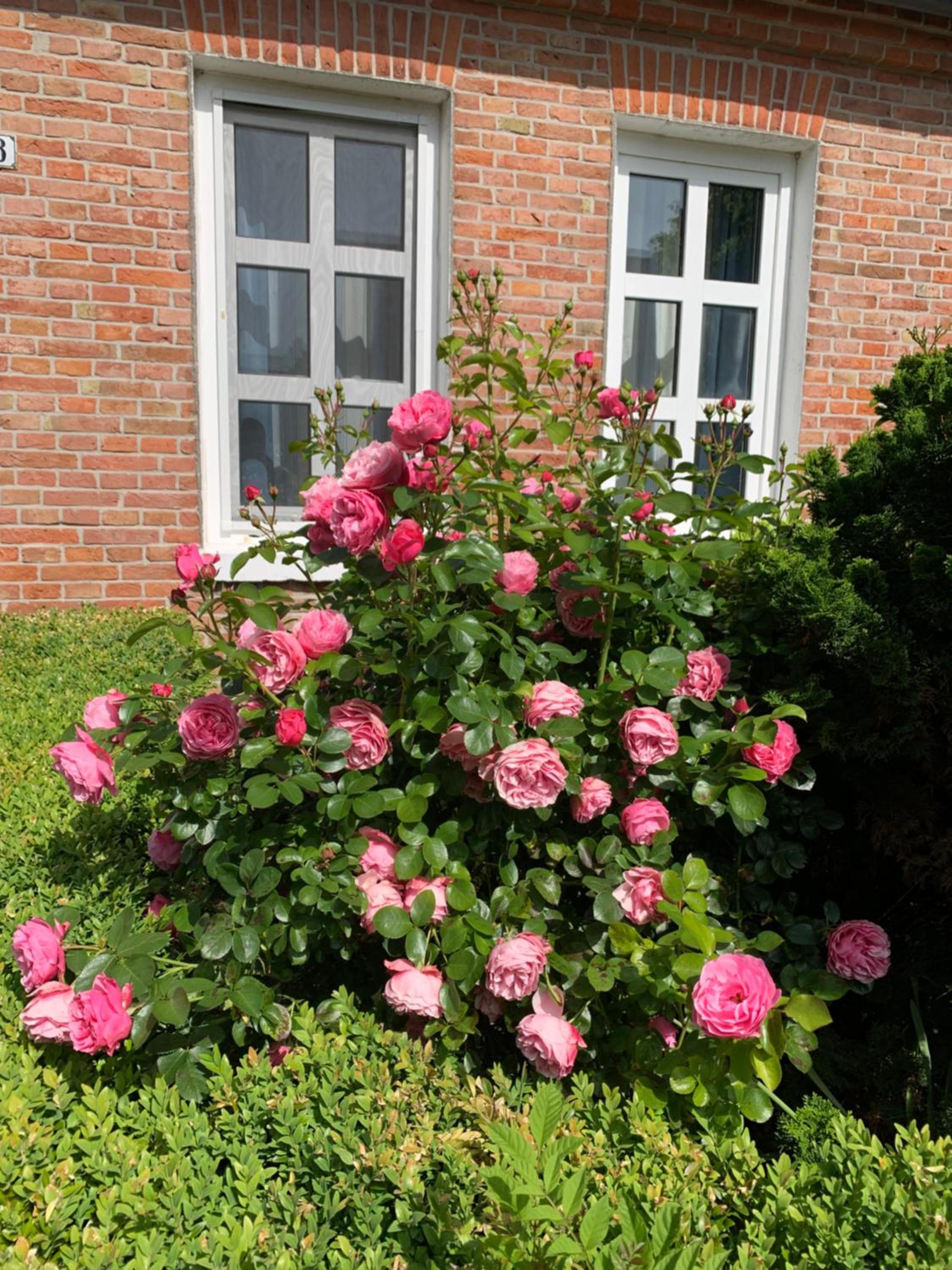Ferienhaus Johanna Hooksiel