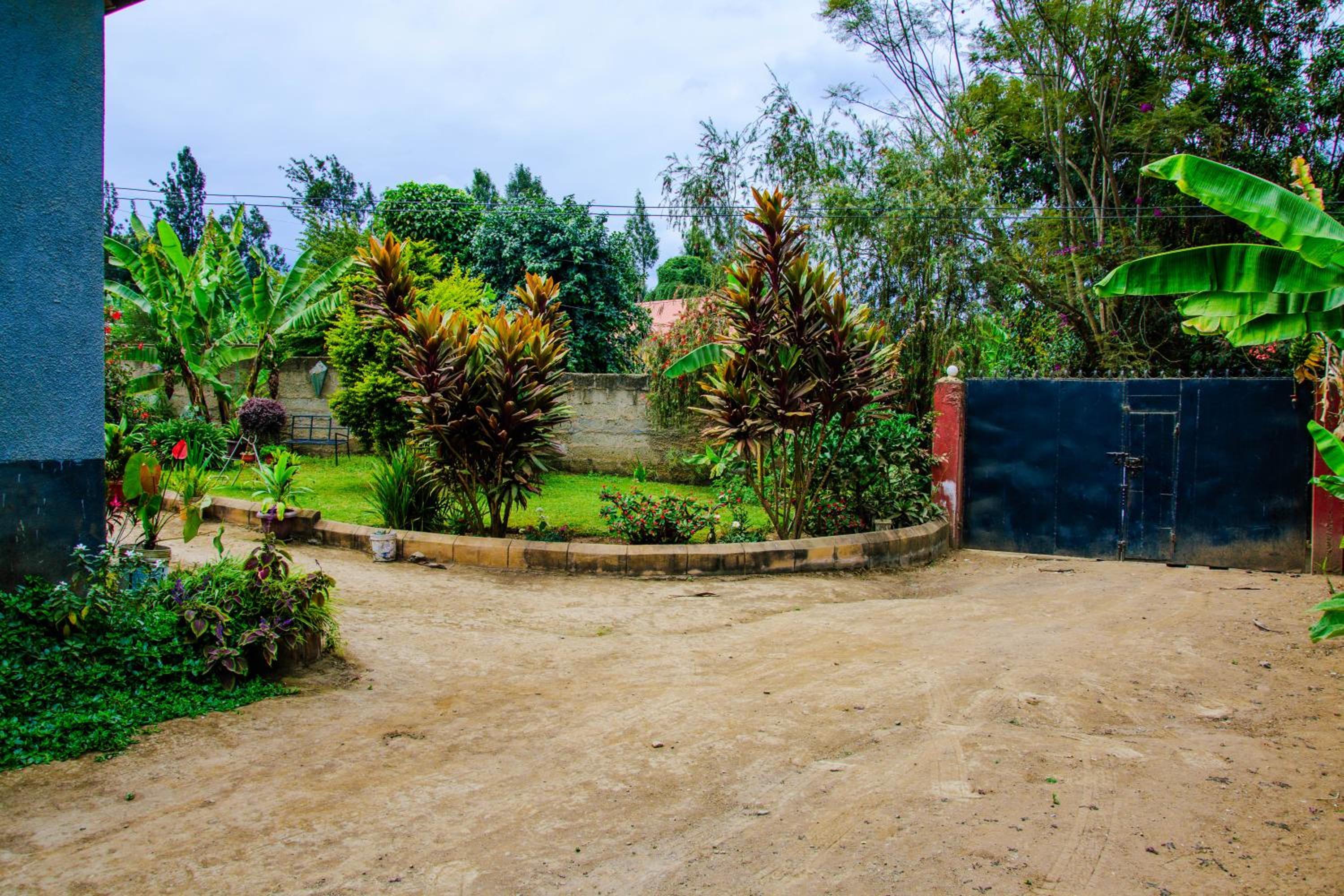 MEDJOURNEYAFRICA HOME view 3