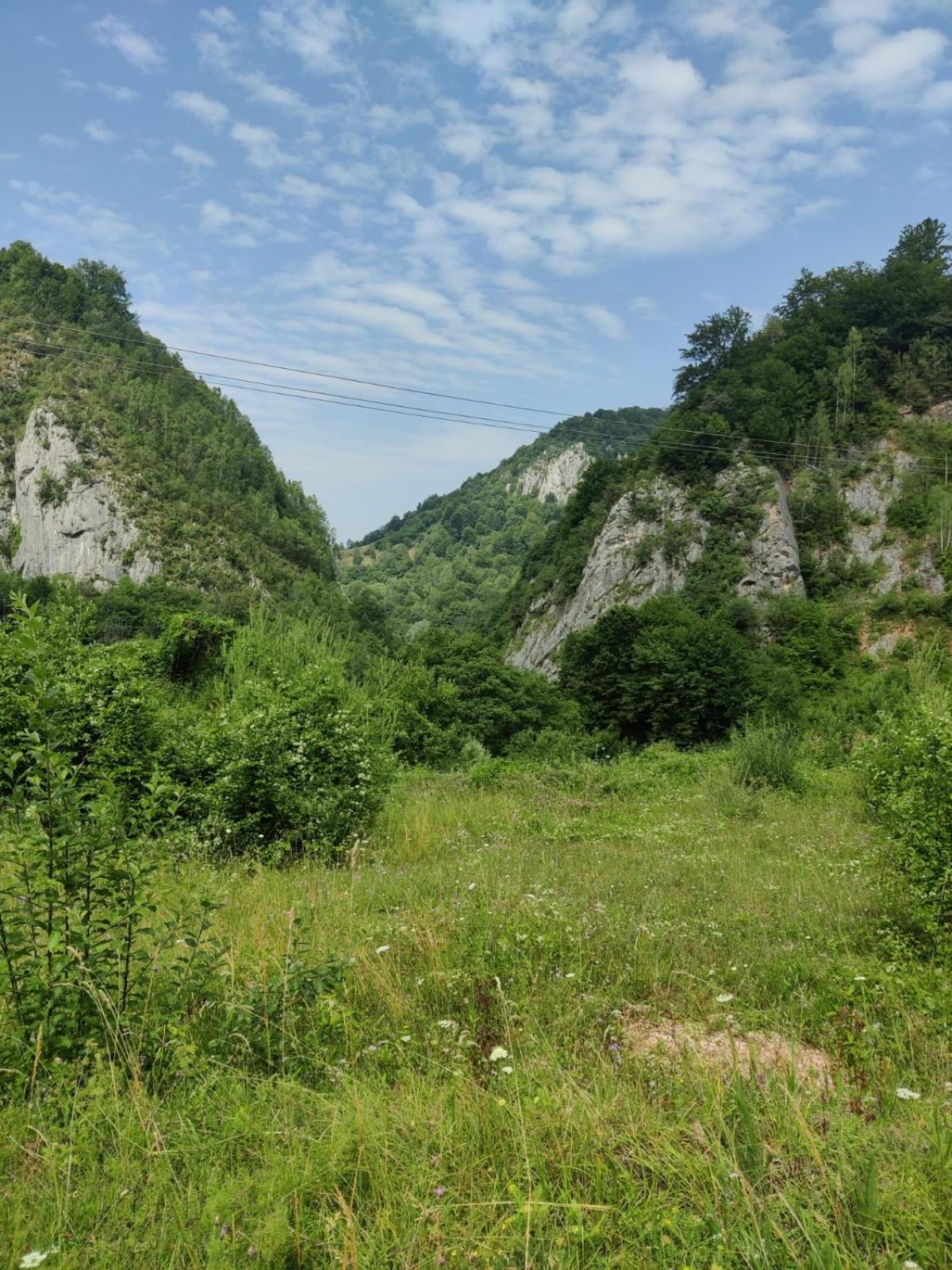 Casa din Pădure