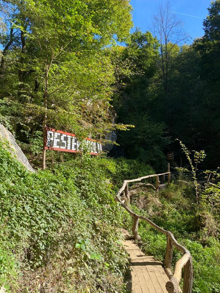 Casa din Pădure